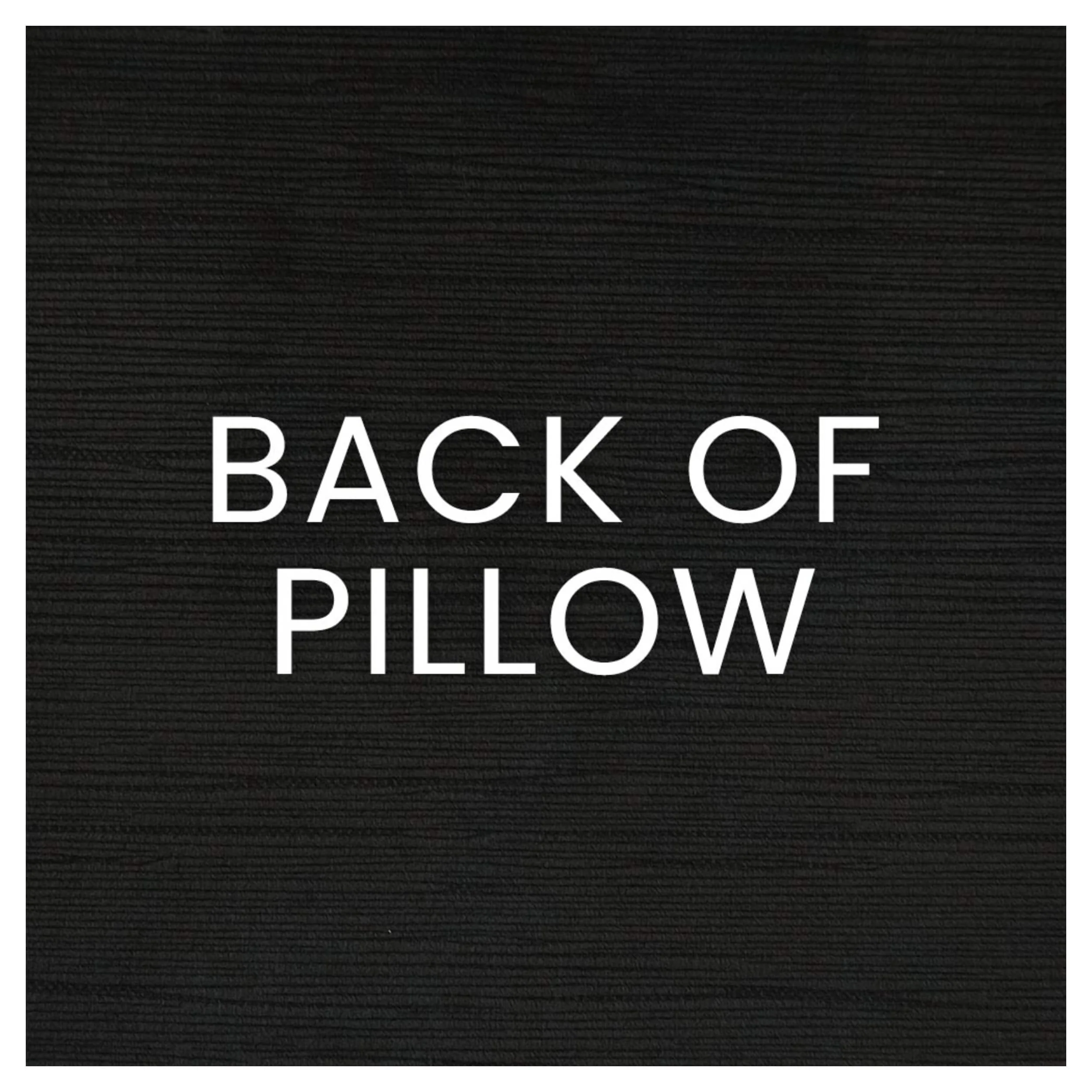 Andreozzi 24" Pillow, Tuxedo, Set of 2 - Image 2