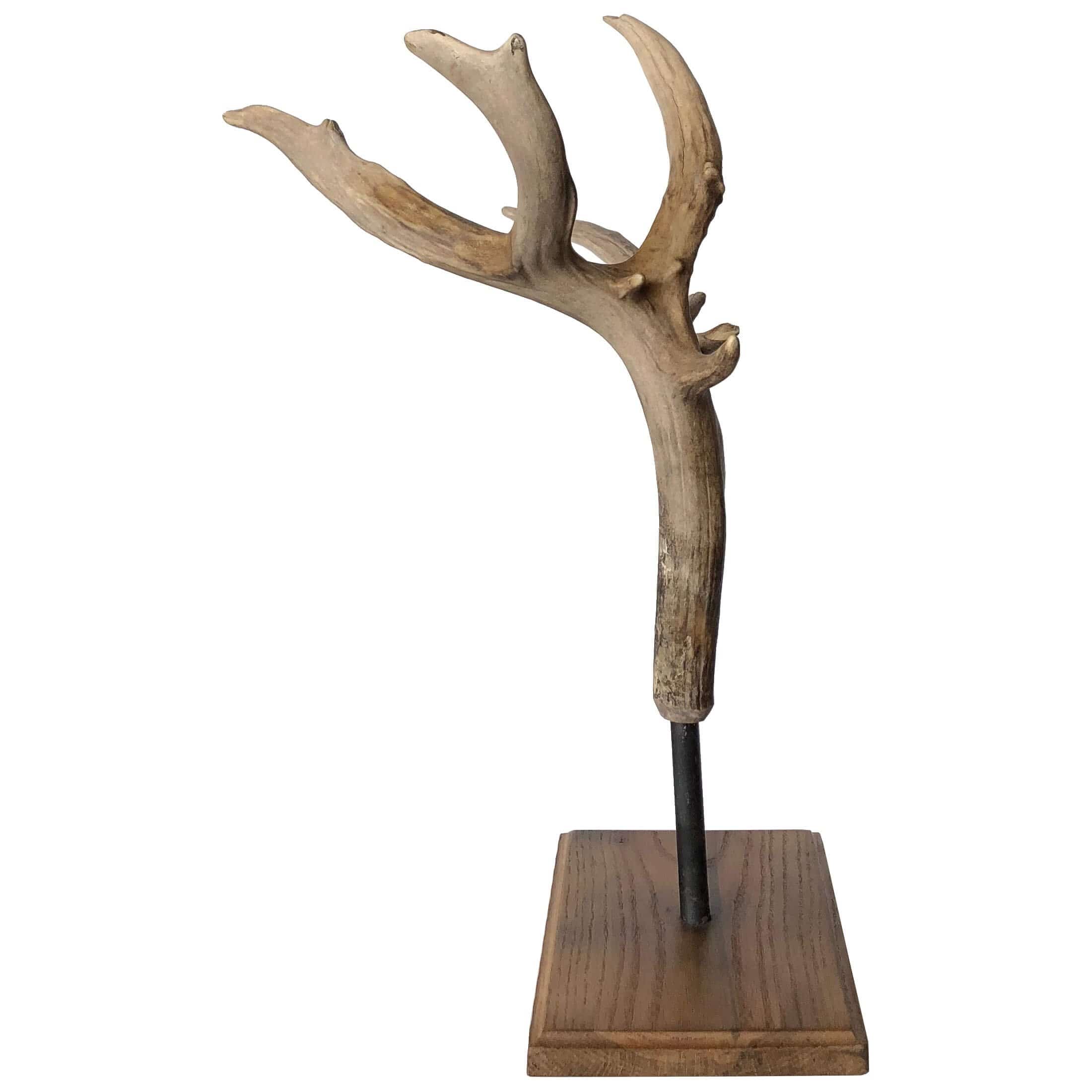 Antler Pedestal, Large - Image 4