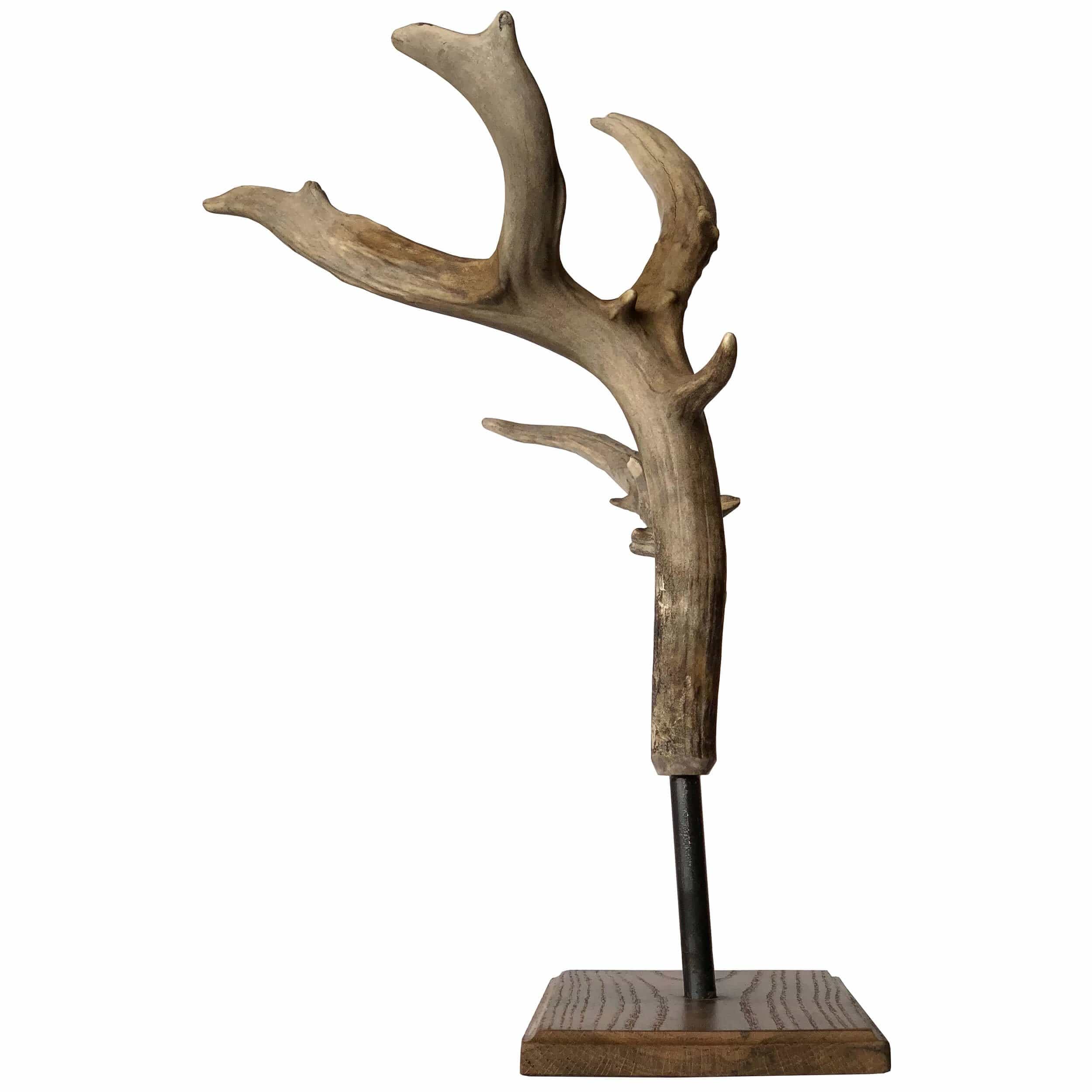 Antler Pedestal, Large - Image 5