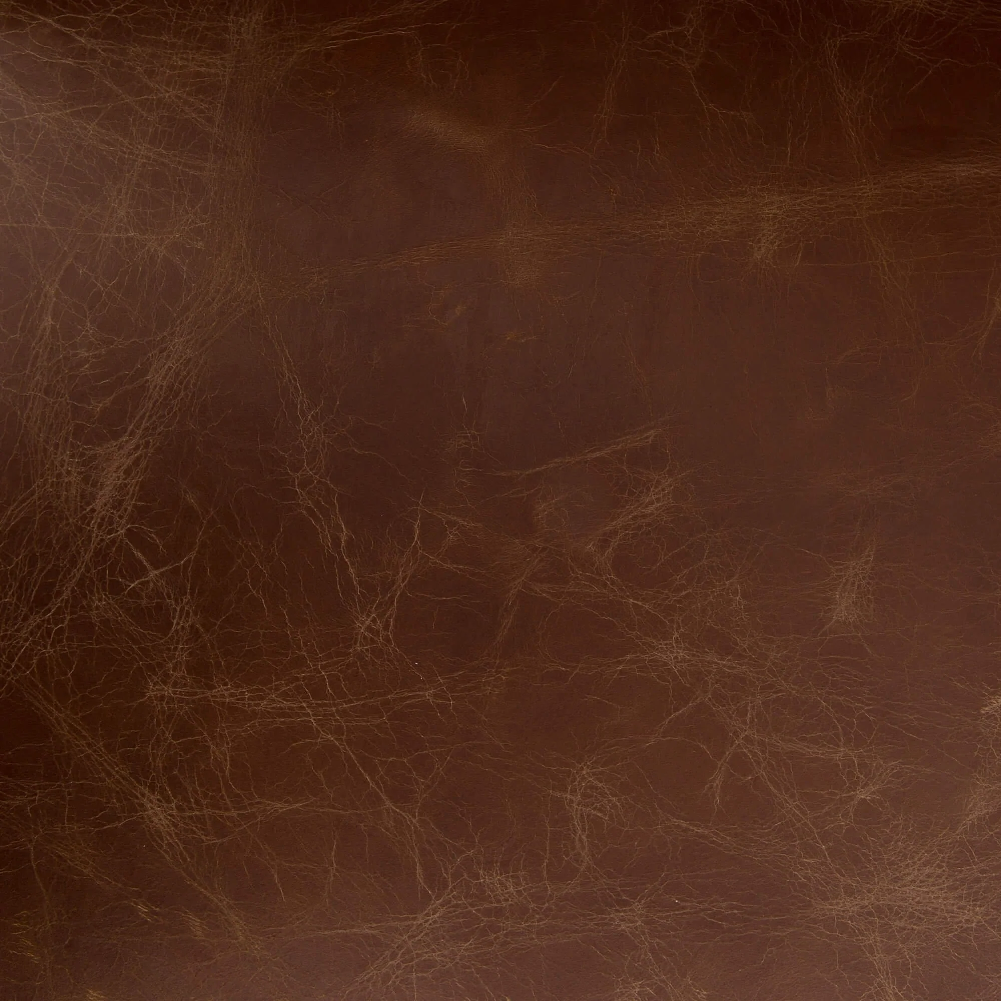 Aria Counter Stool, Sienna Chestnut by Four Hands - Image 6