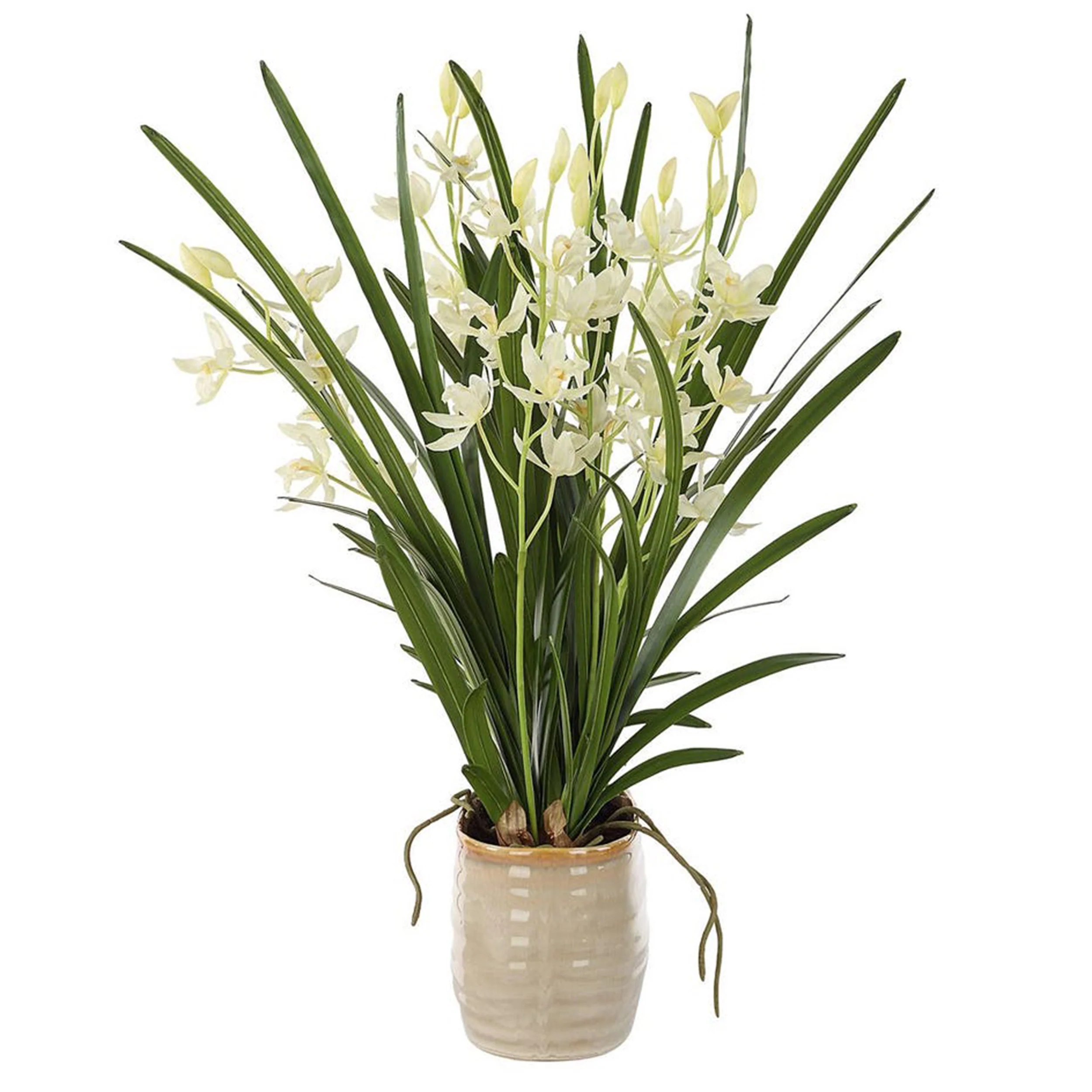 Ariana Orchid, Tan - Image 3