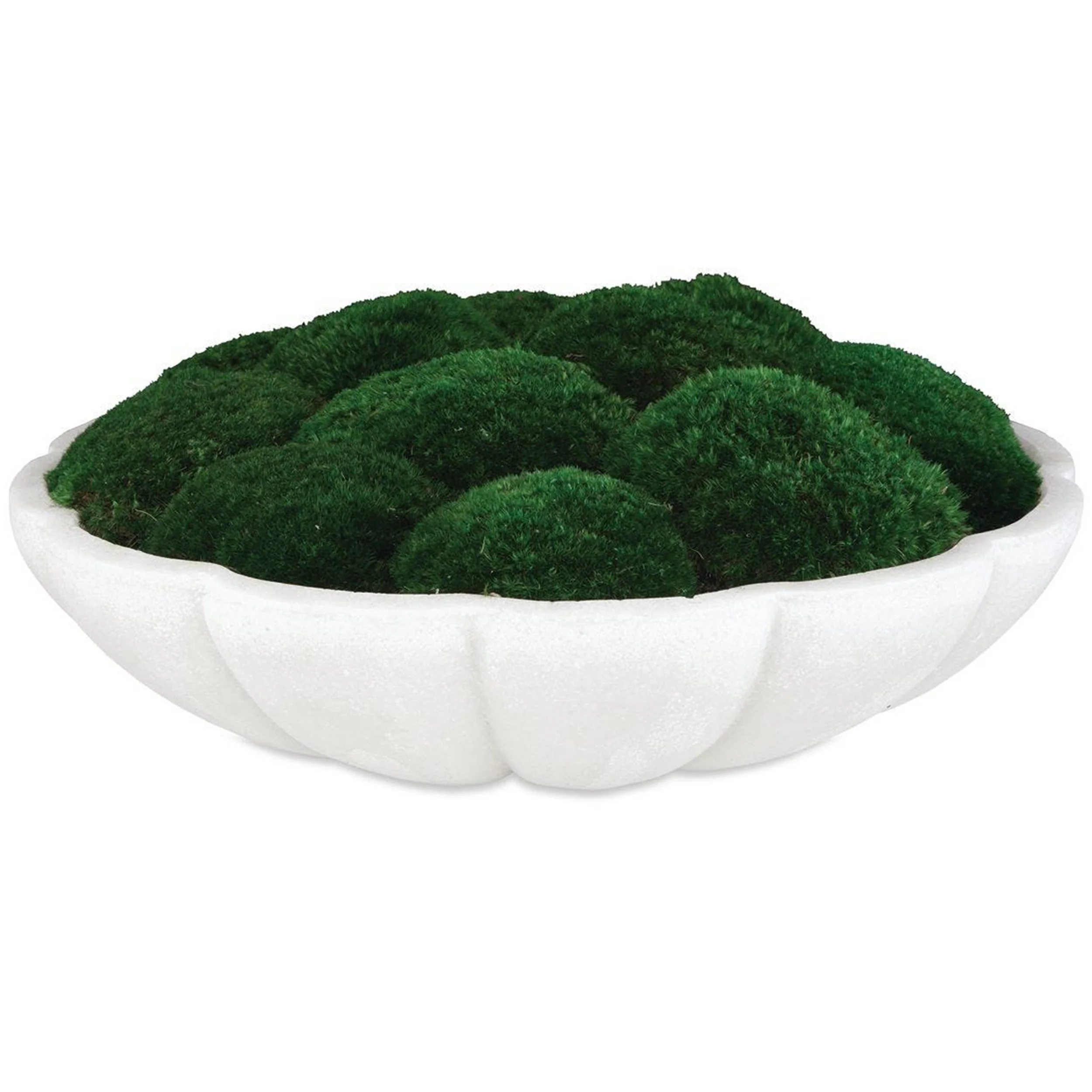 Awaken Moss Centerpiece, Natural