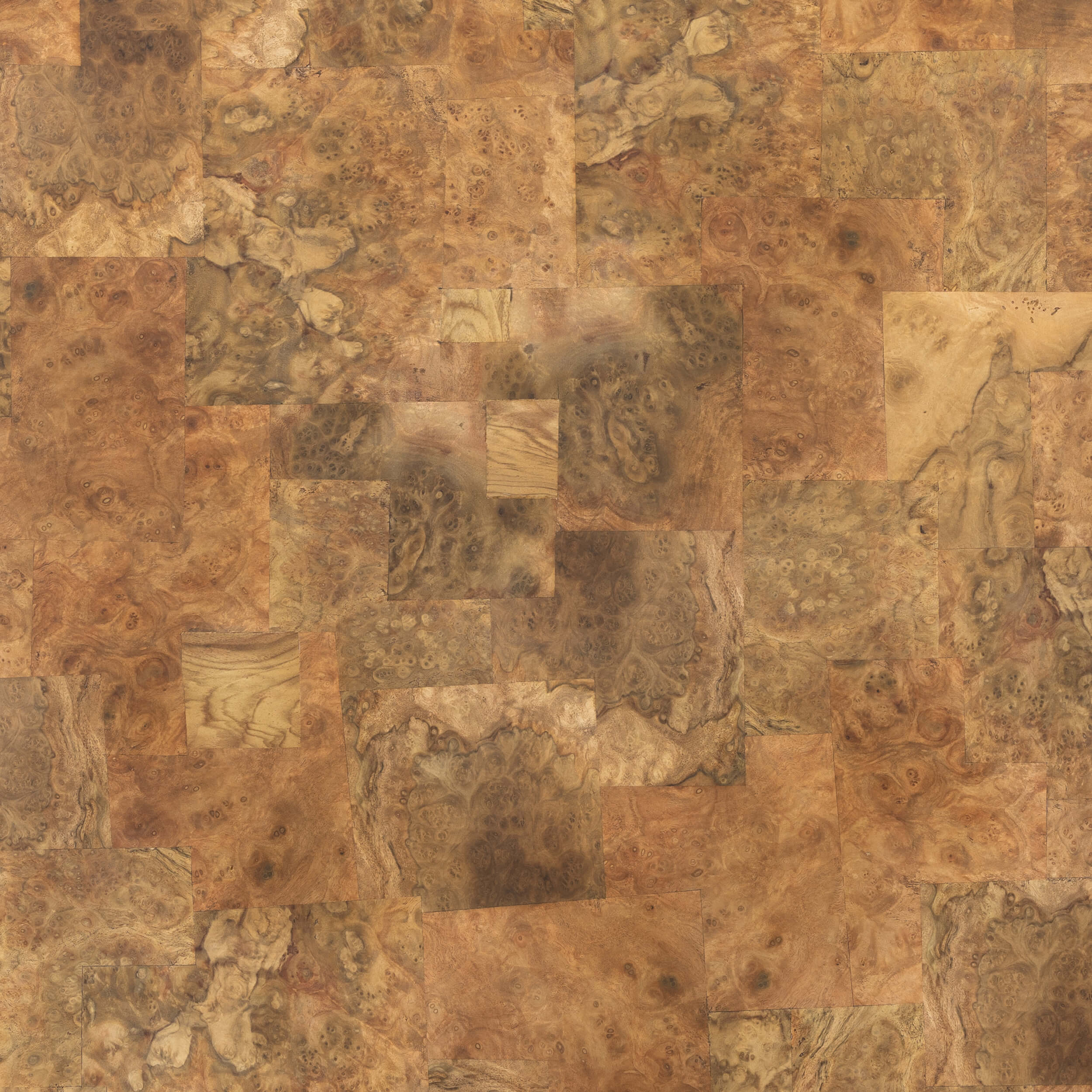 Blanco Coffee Table, Warm Umber Burl by Four Hands - Image 3