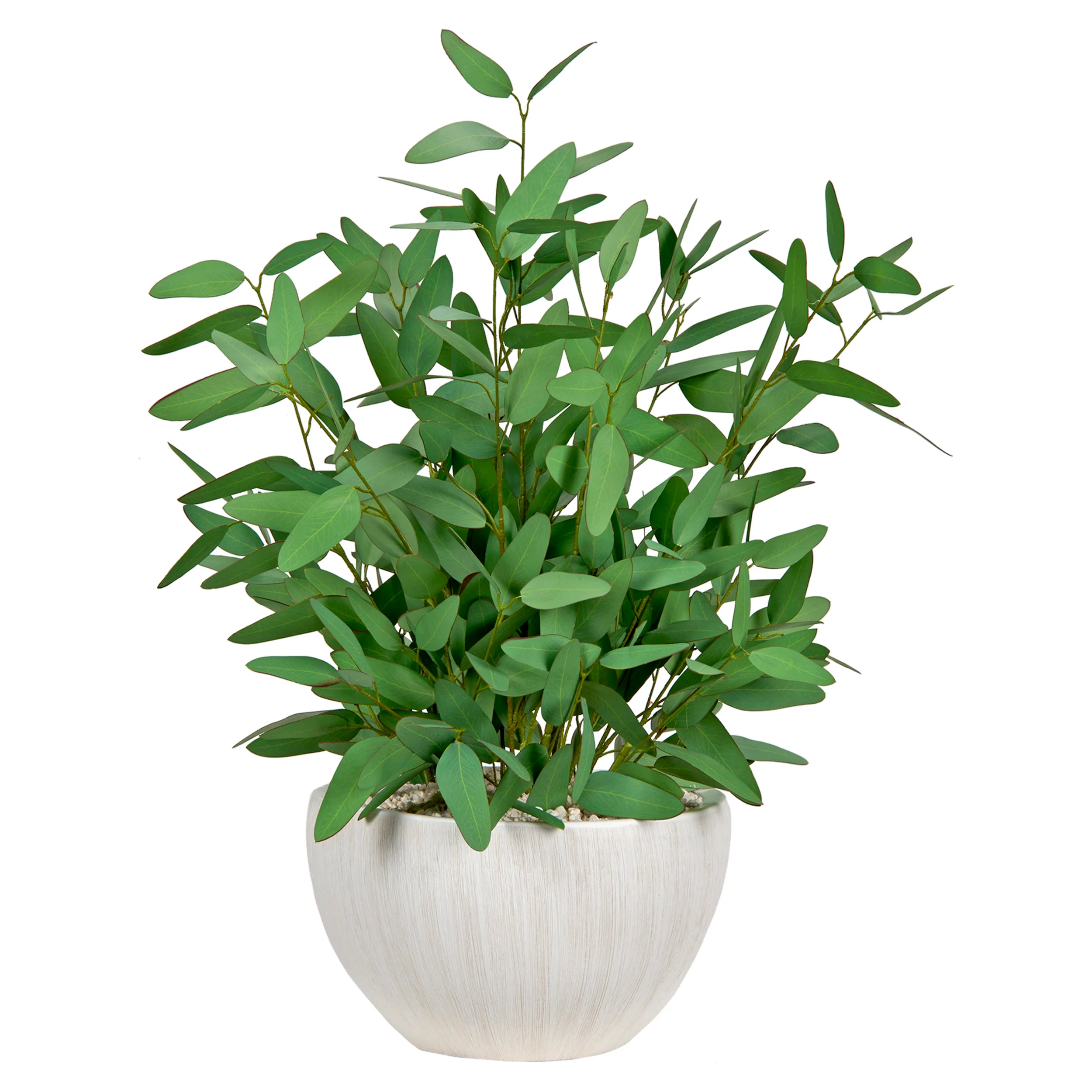 Blue Eucalyptus in Large Ezra Planter, White