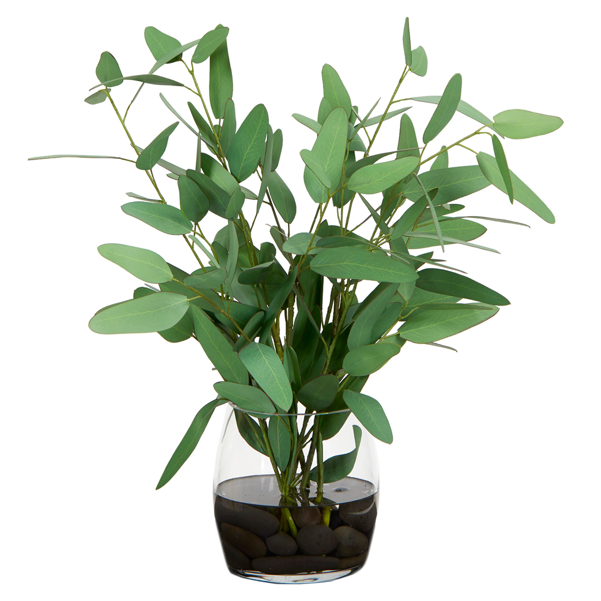 Blue Eucalyptus in Tumbler Vase, Clear