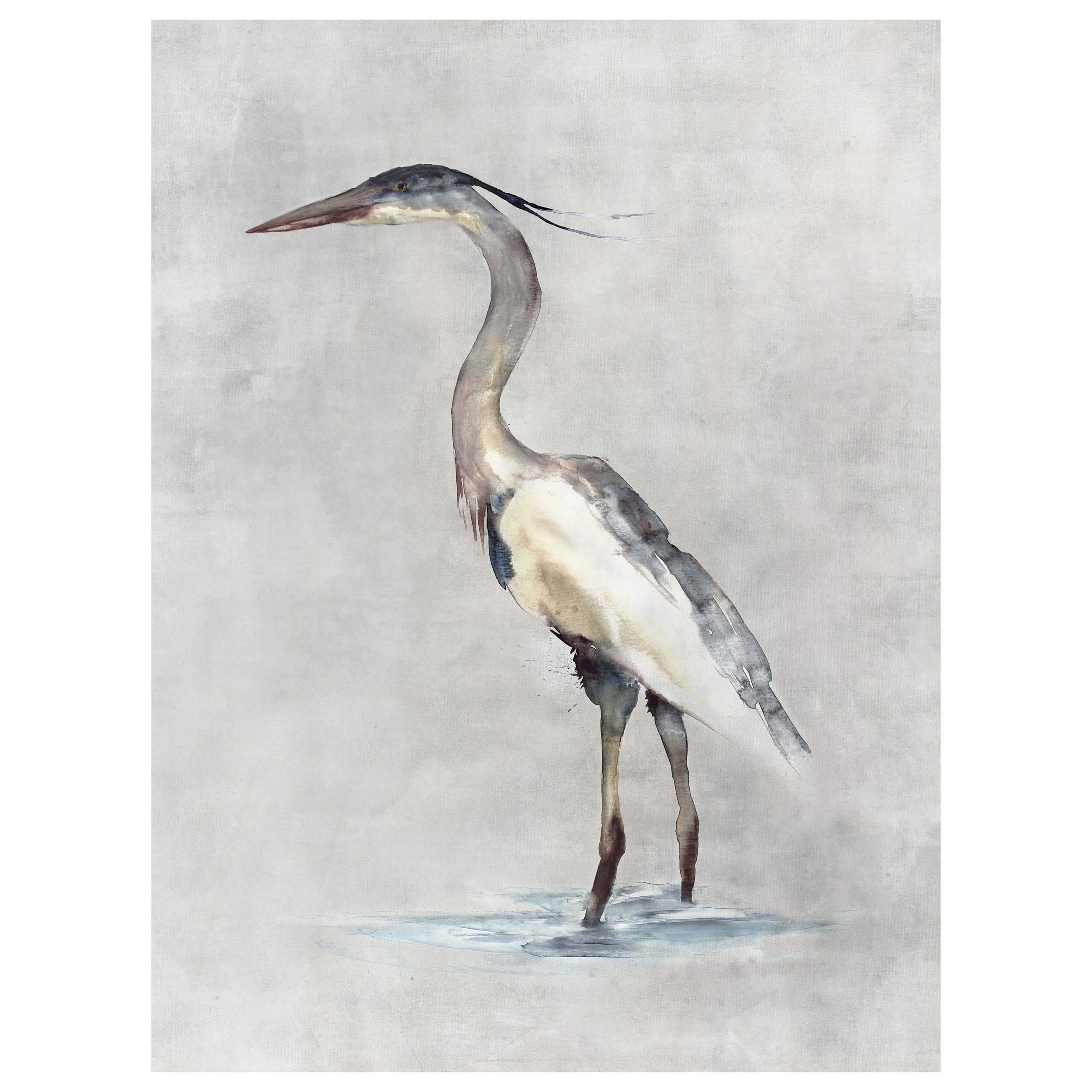 Blue Heron I