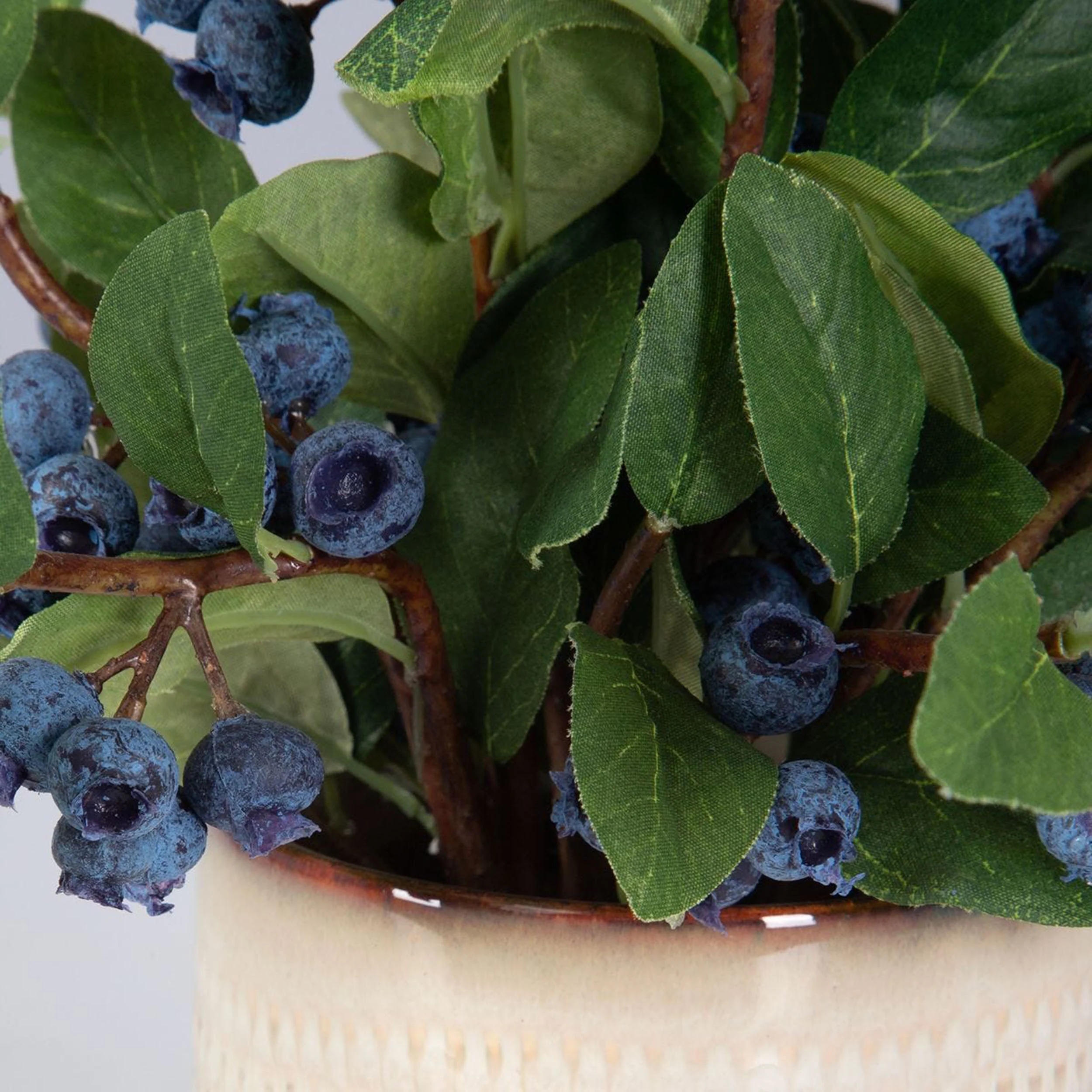 Blueberry Fields, Natural - Image 3