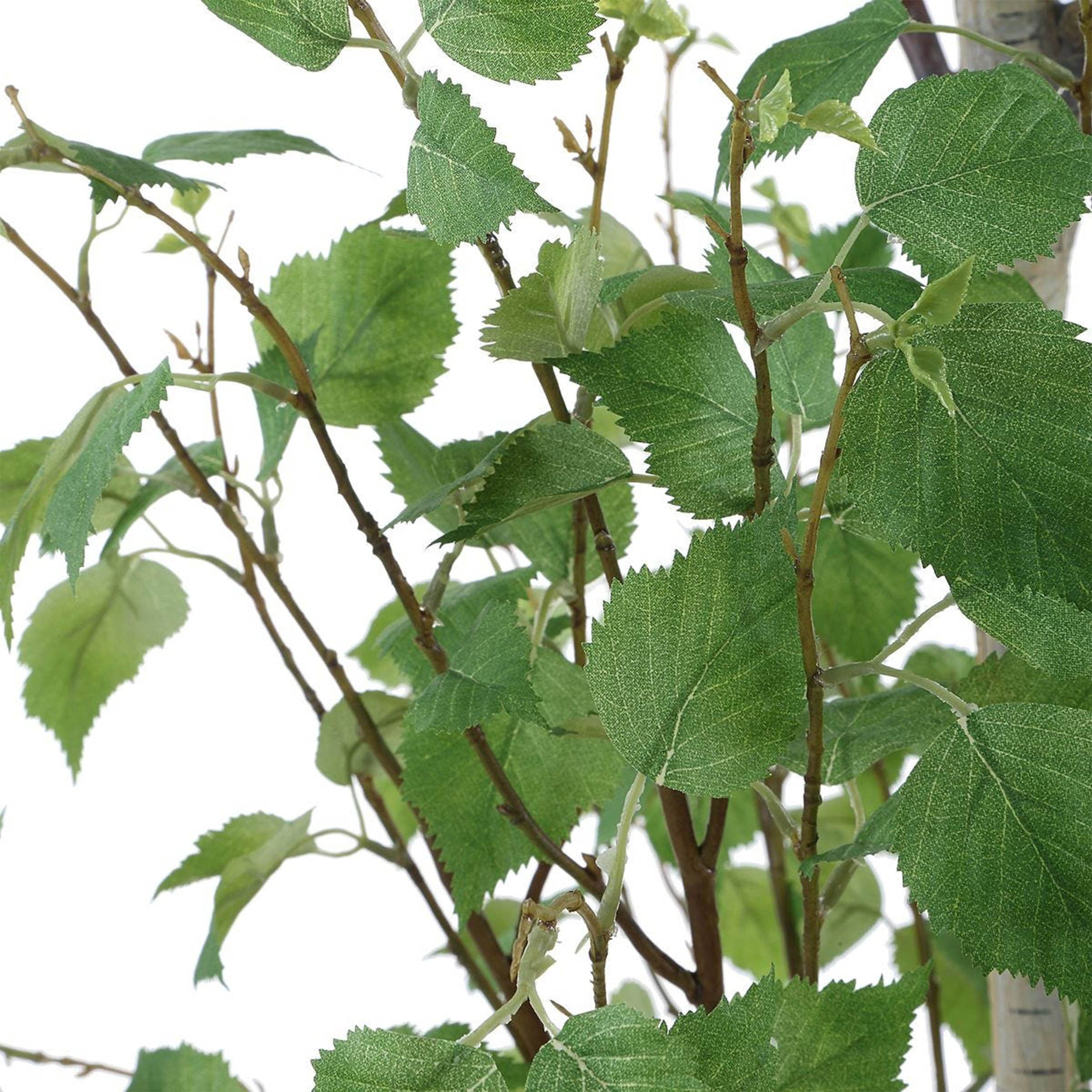 Boreal Potted Birch Tree, Aged Gray - Image 3