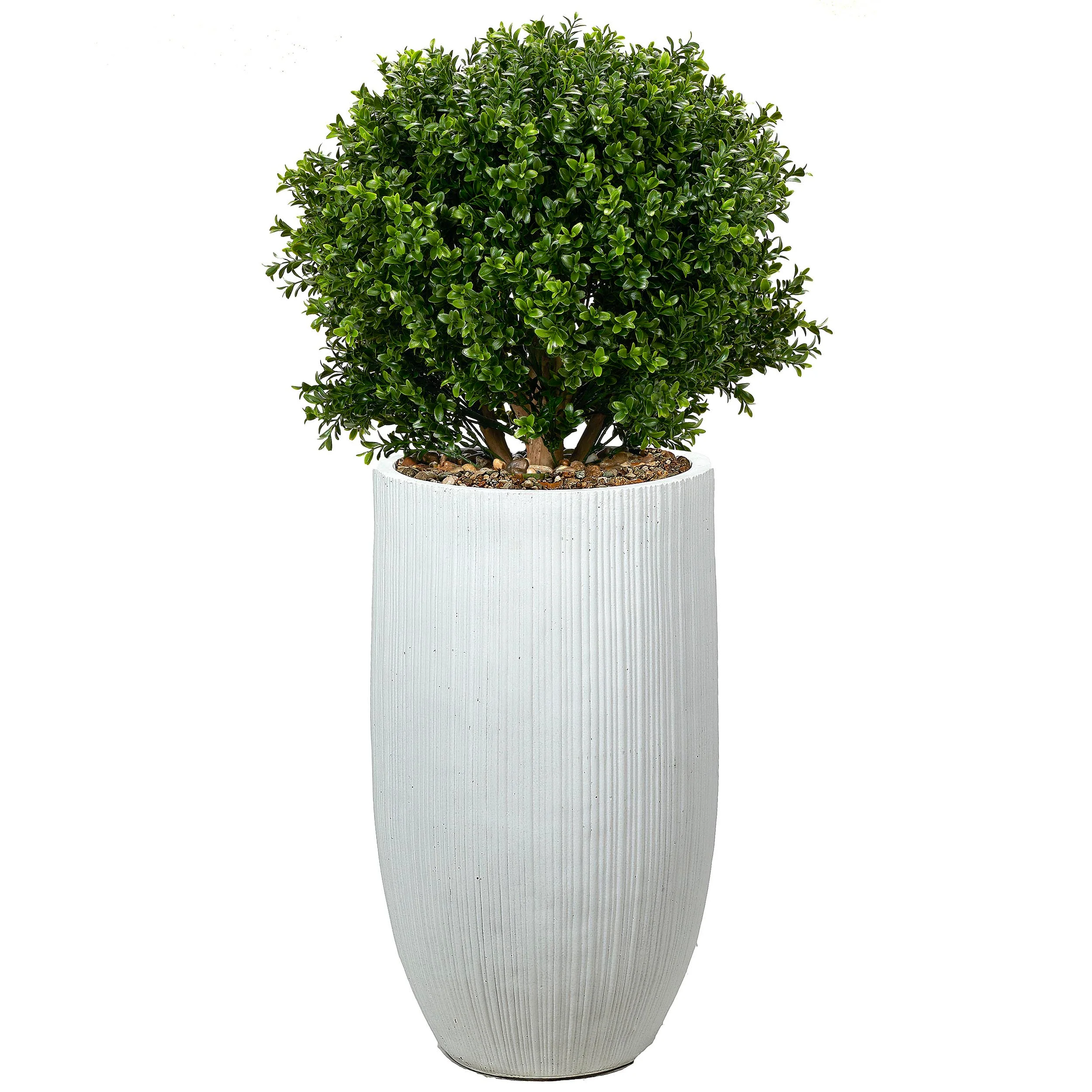 Boxwood Ball in Nell Planter, White