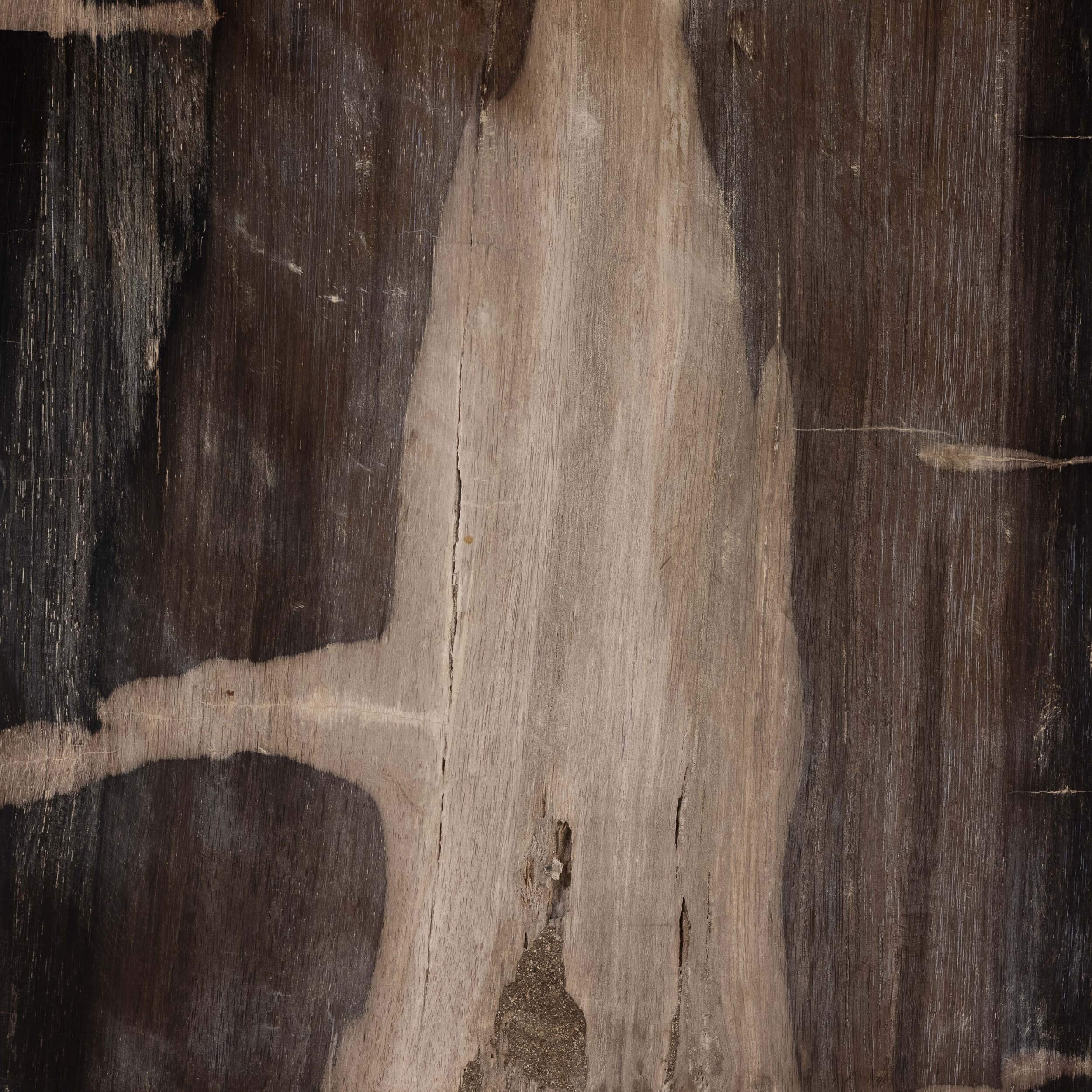 Buck End Table, Dark Petrified Wood by Four Hands - Image 4