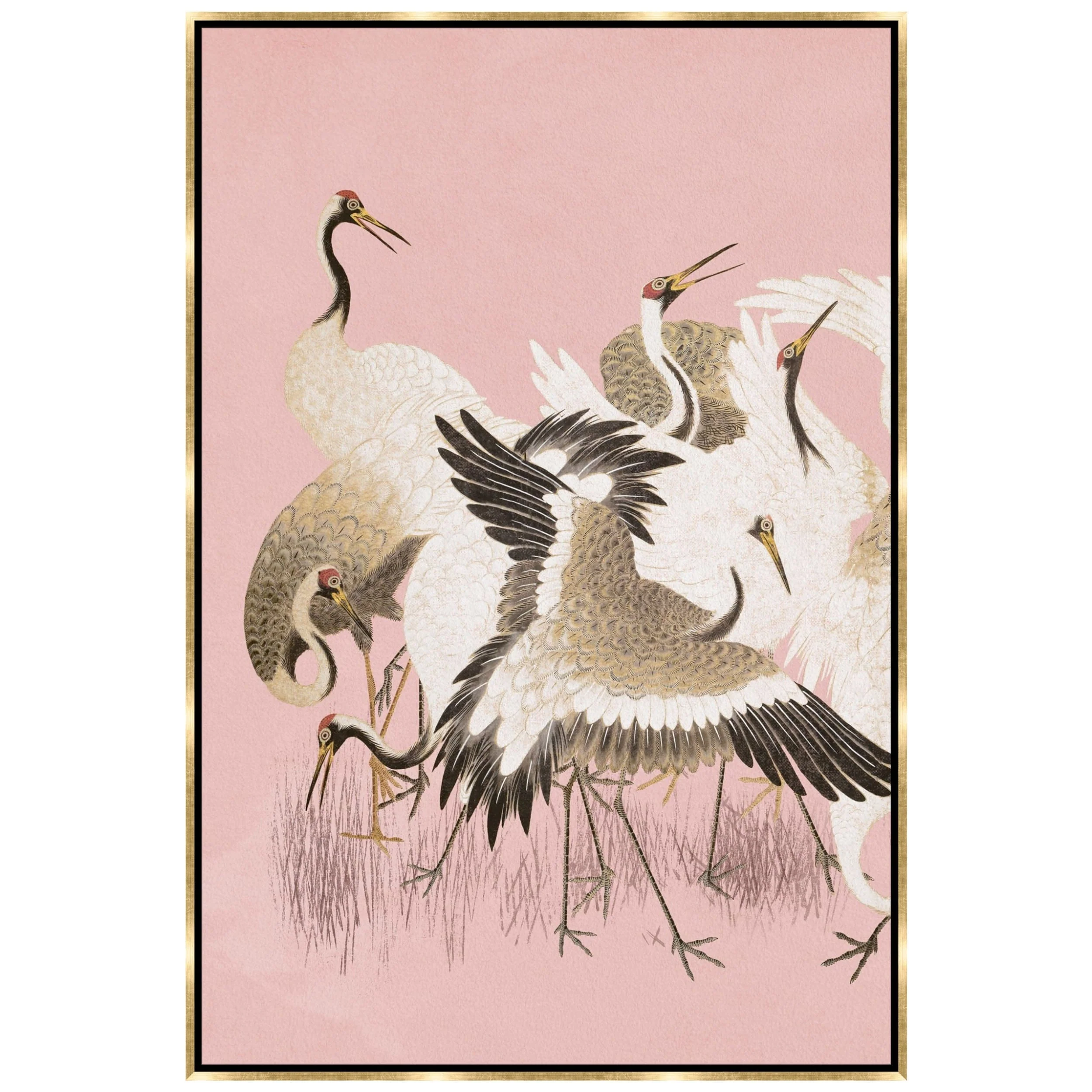 Curious Cranes Plumule Framed