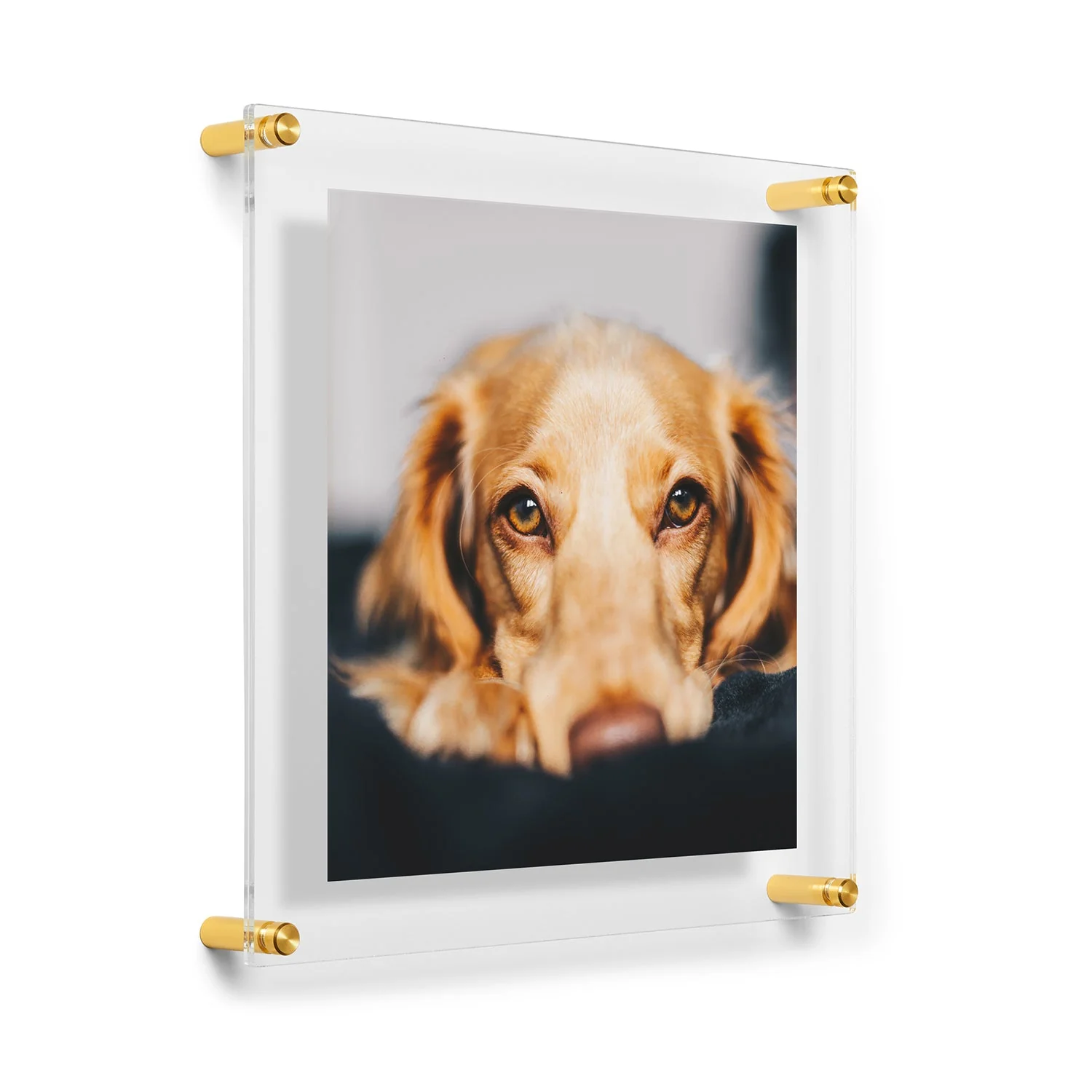 Double Panel Acrylic Floating Wall Frames - Image 66