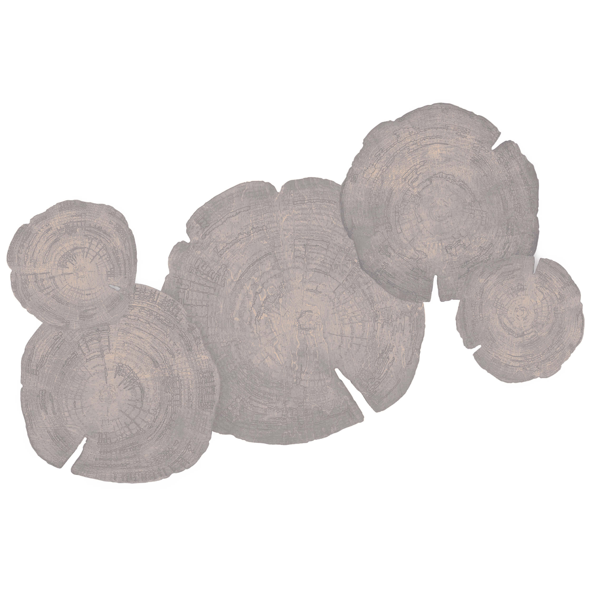 Embers of Growth VI, Grey, Set of 5