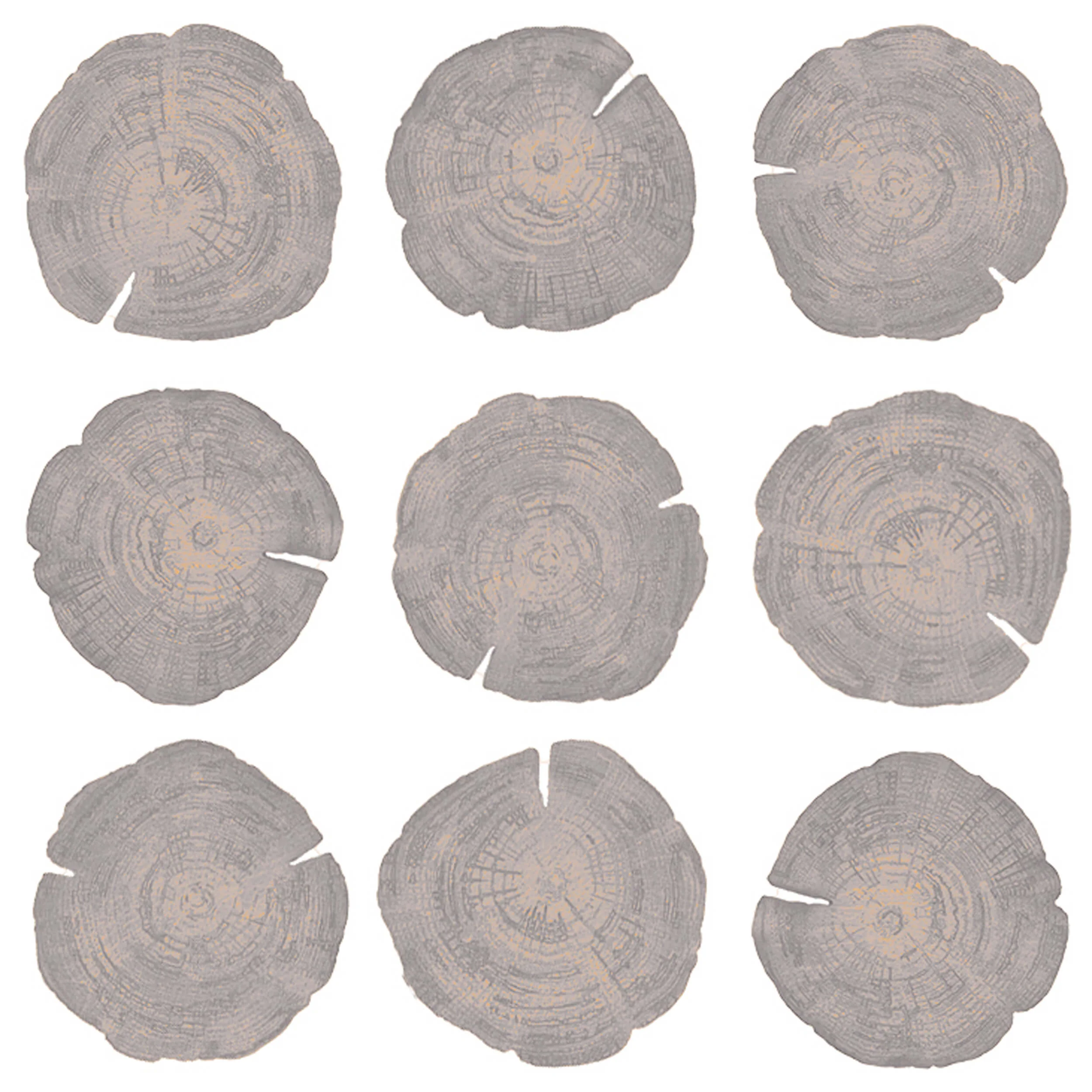 Embers of Growth VIII, Grey, Set of 9
