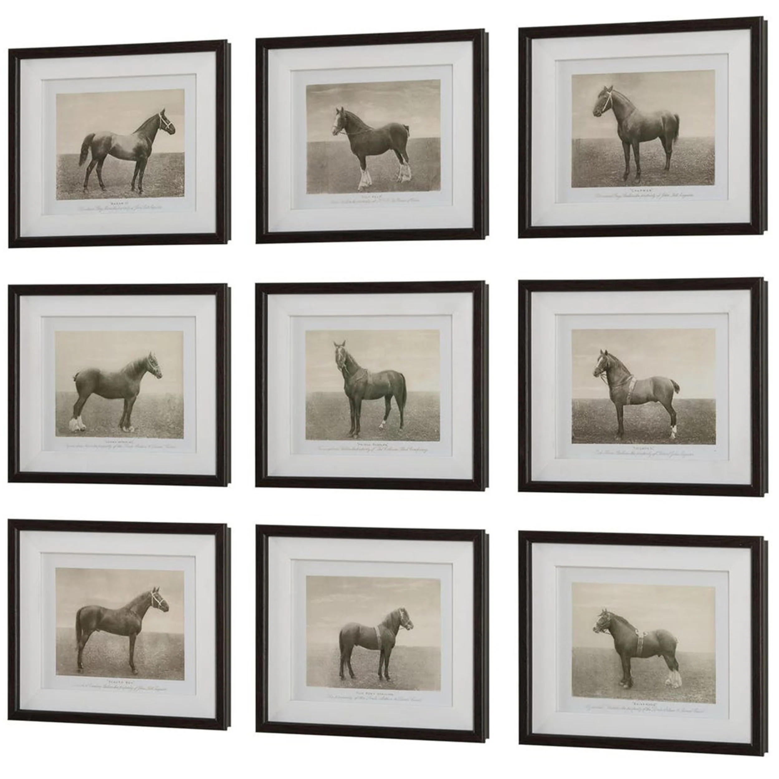 Equine Dynasty Framed Prints, Walnut, Set of 9 - Image 2