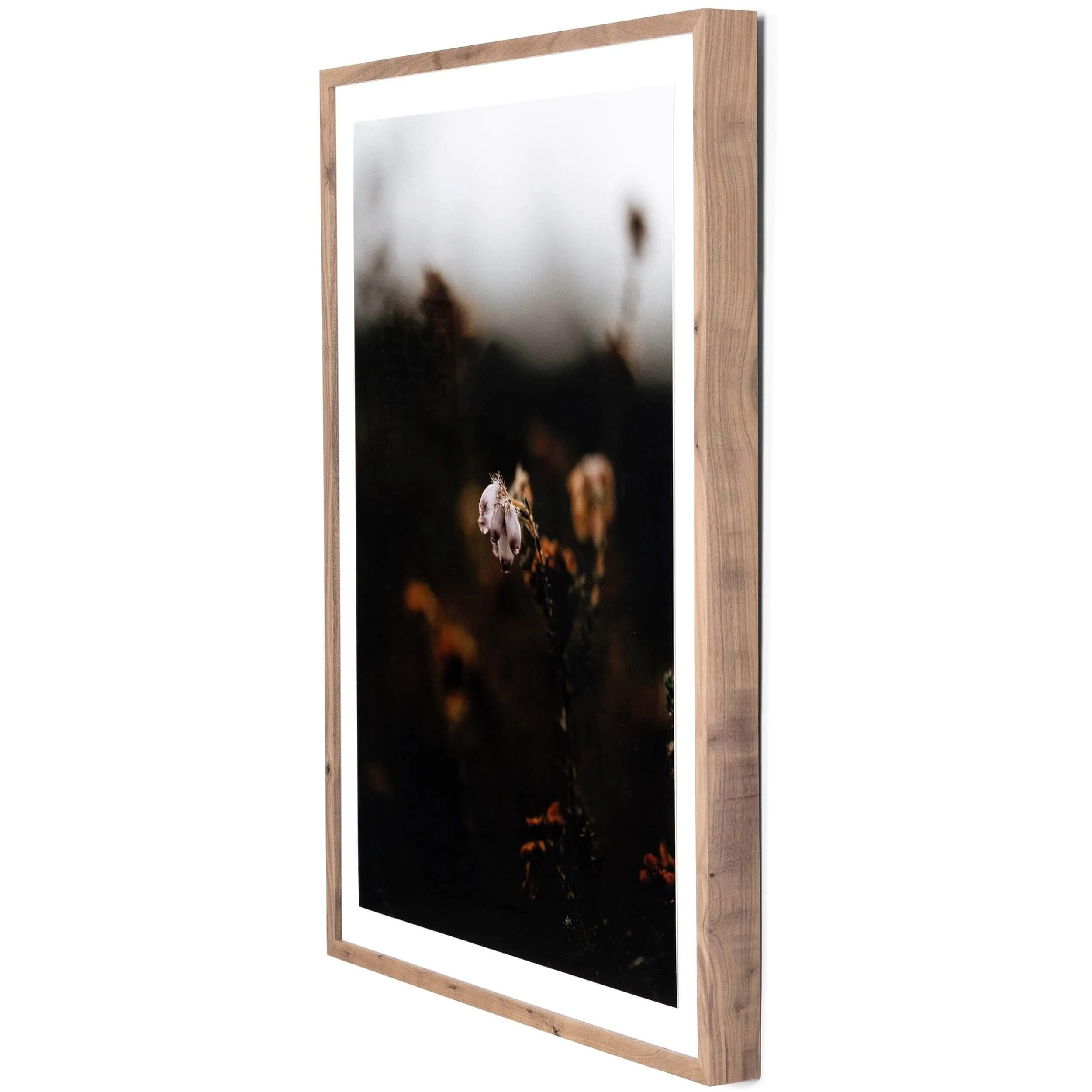 Escape II by Annie Spratt by Four Hands - Image 2