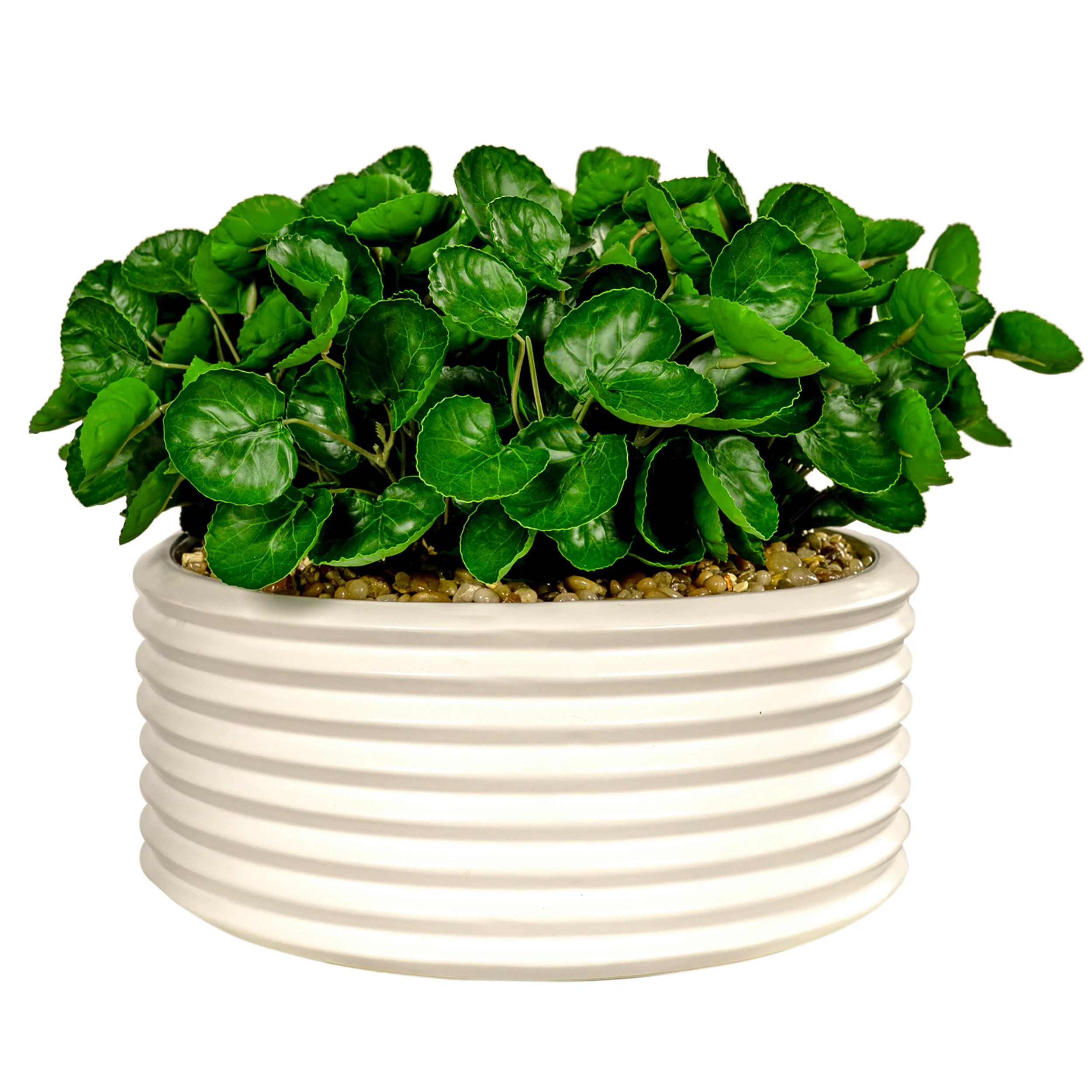 Eucalyptus in Armonica Bowl, White
