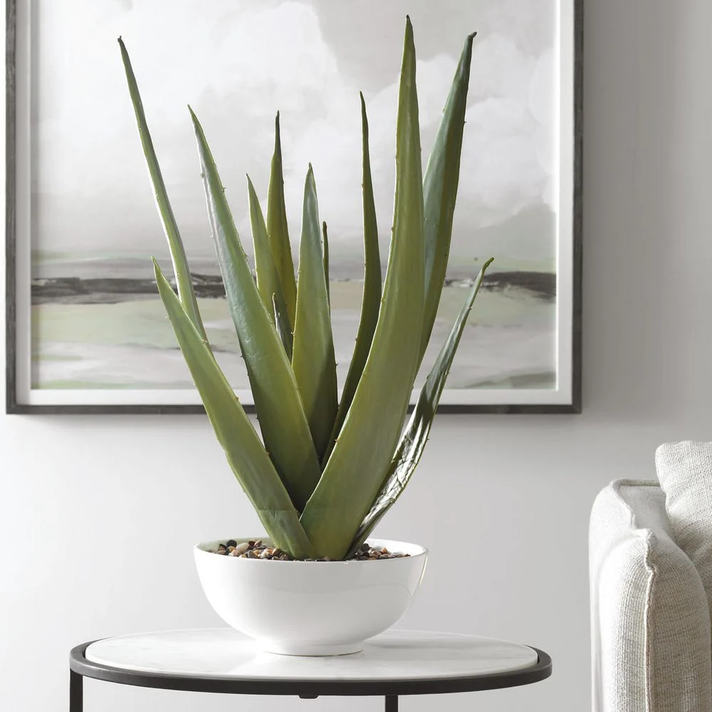 Evarado Aloe Planter, Glossy White - Image 3
