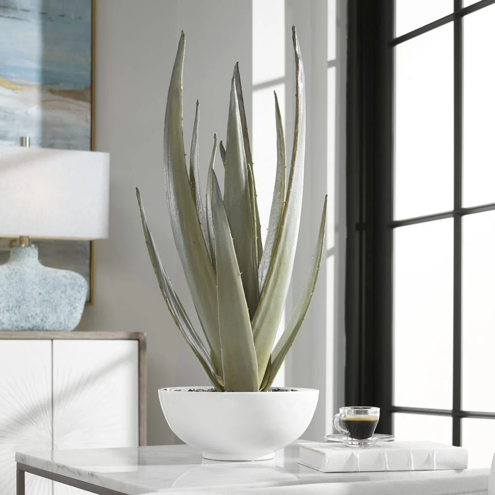 Evarado Aloe Planter, Glossy White - Image 4