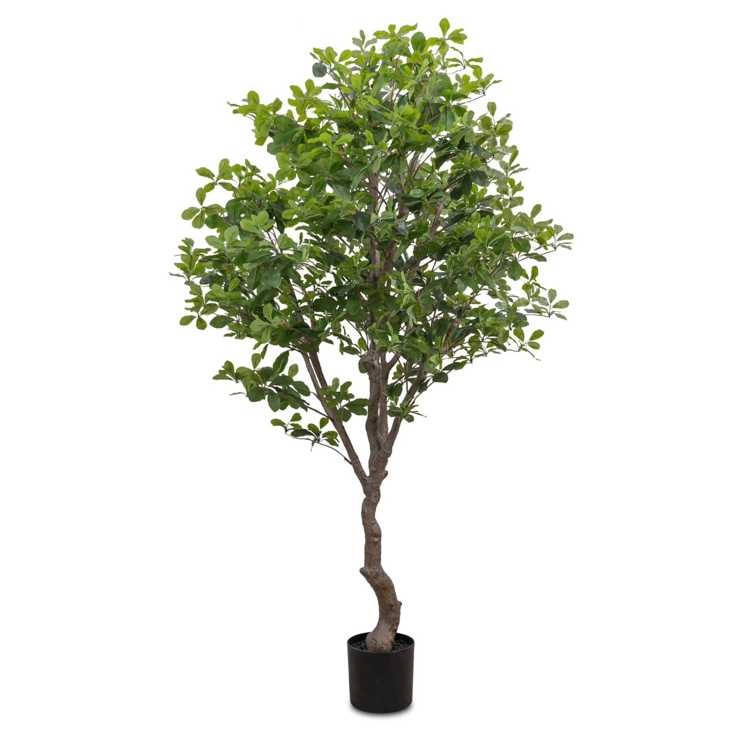 Faux Aralia Tree by Four Hands