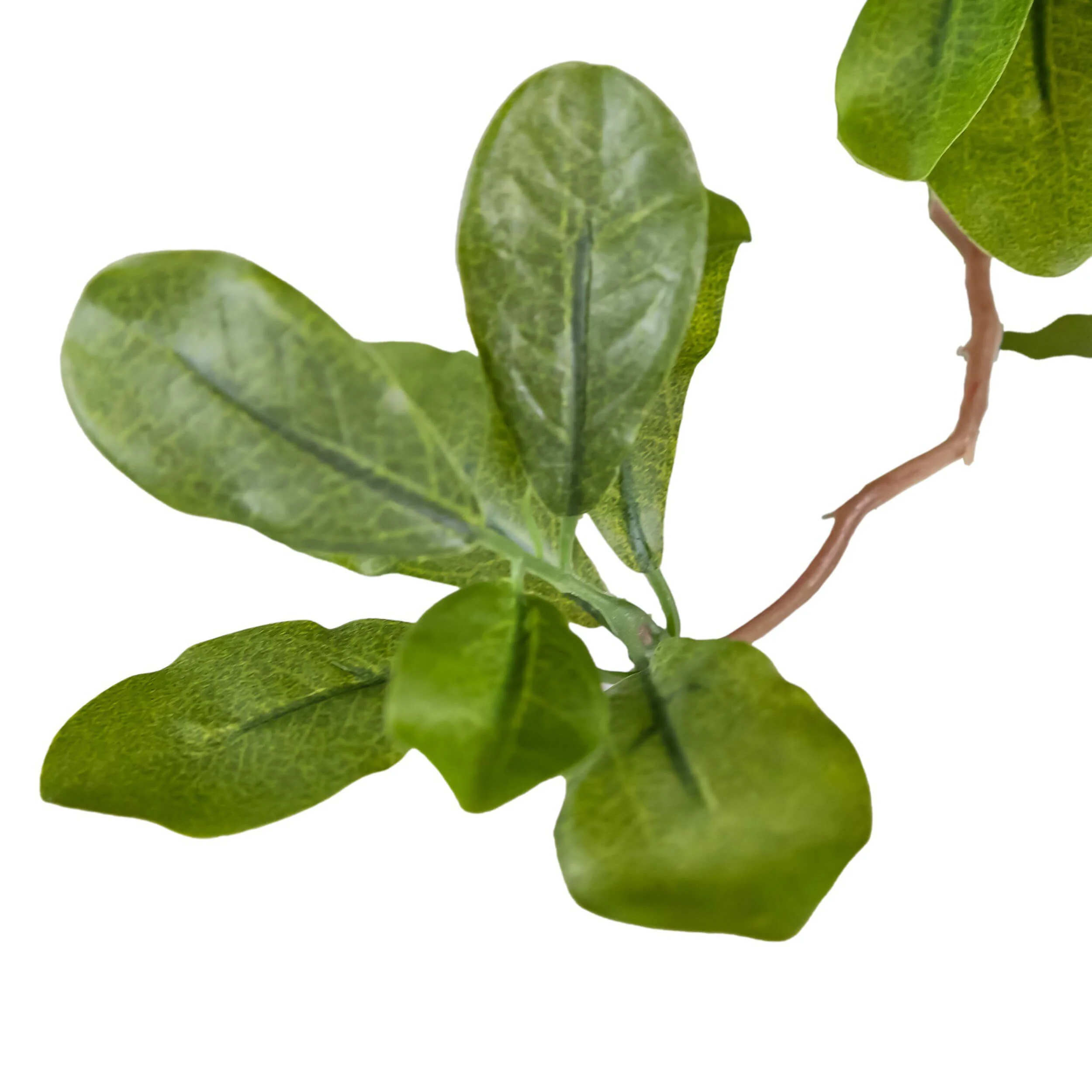 Faux Aralia Tree by Four Hands - Image 11