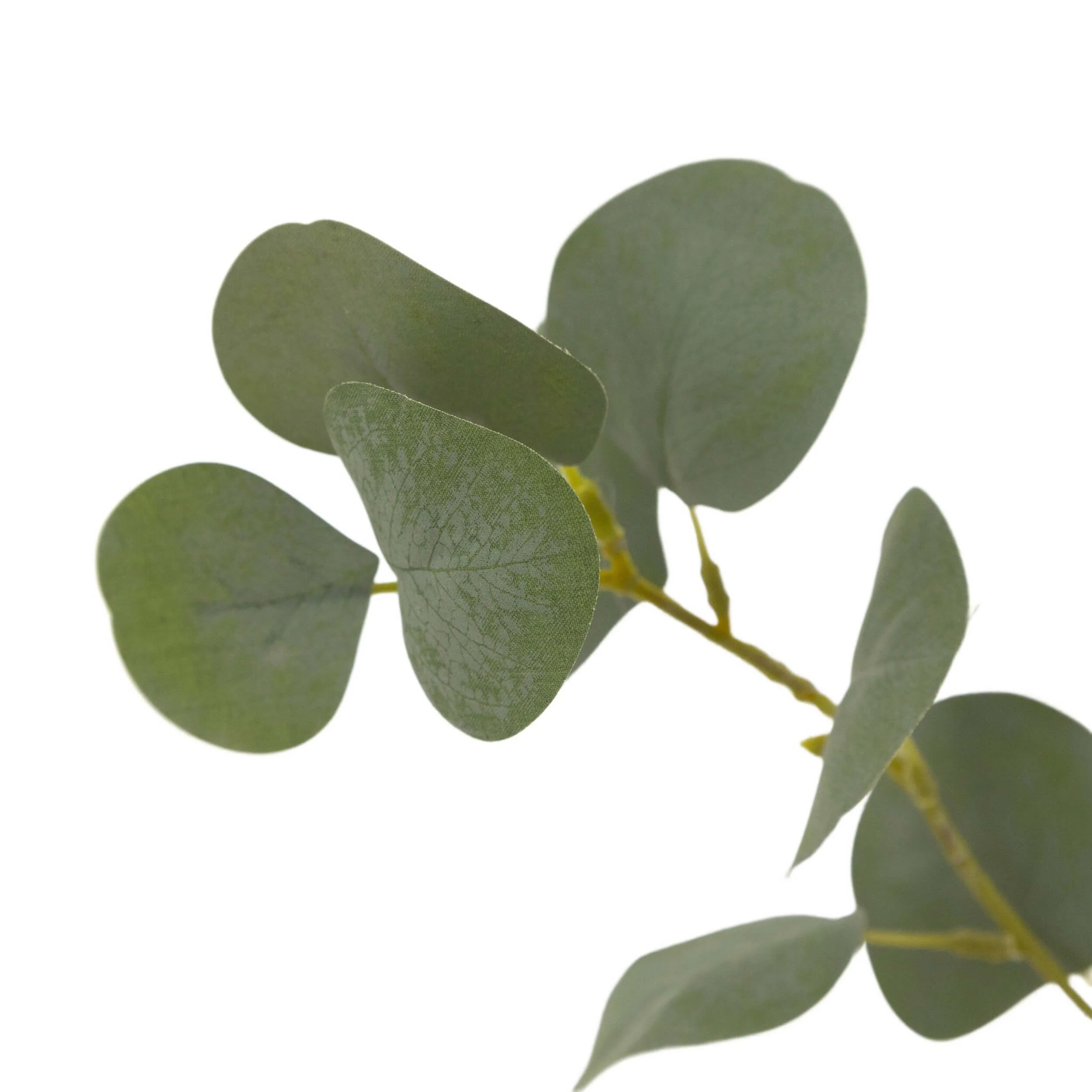Faux Eucalyptus Tree by Four Hands - Image 3