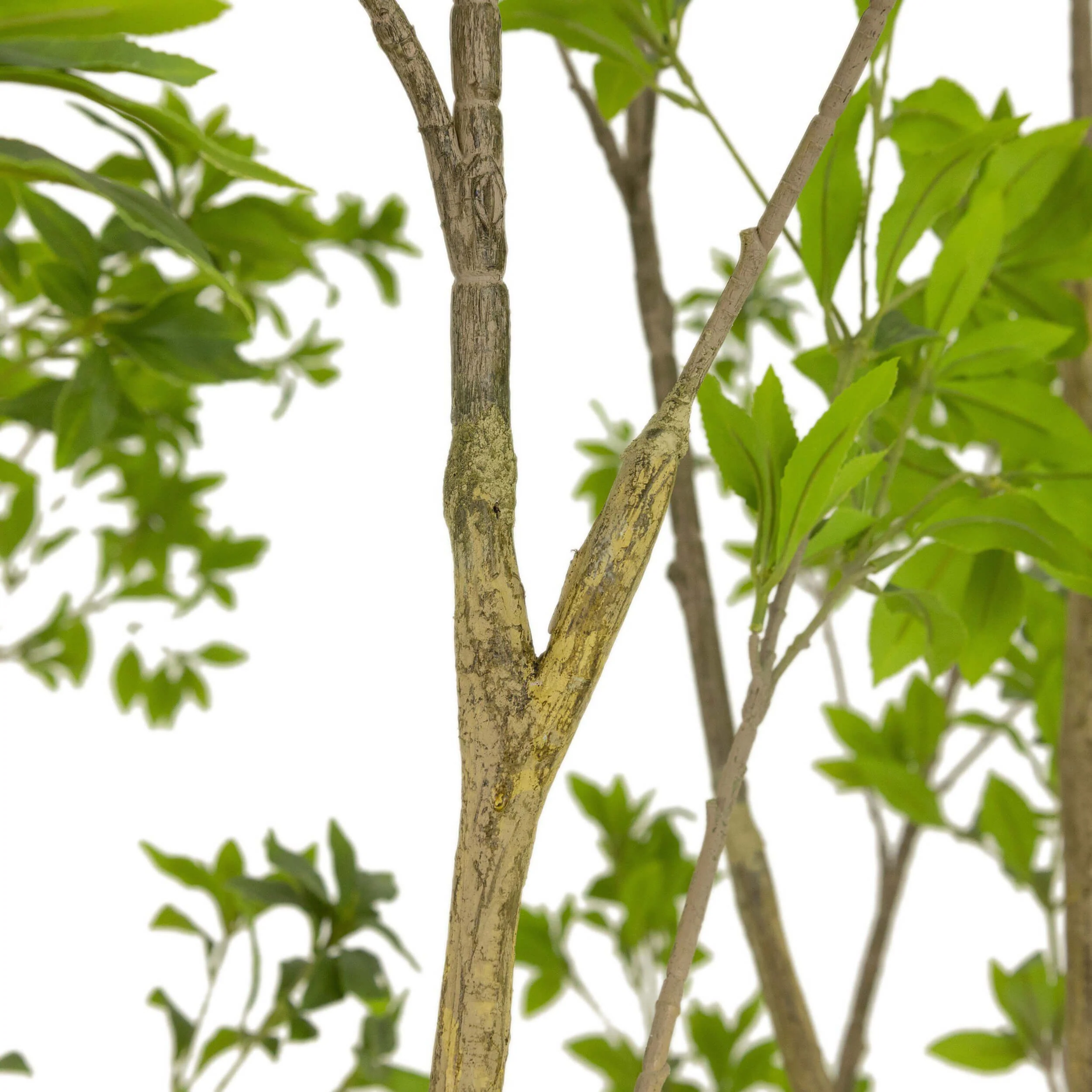 Faux Pieris Tree by Four Hands - Image 2