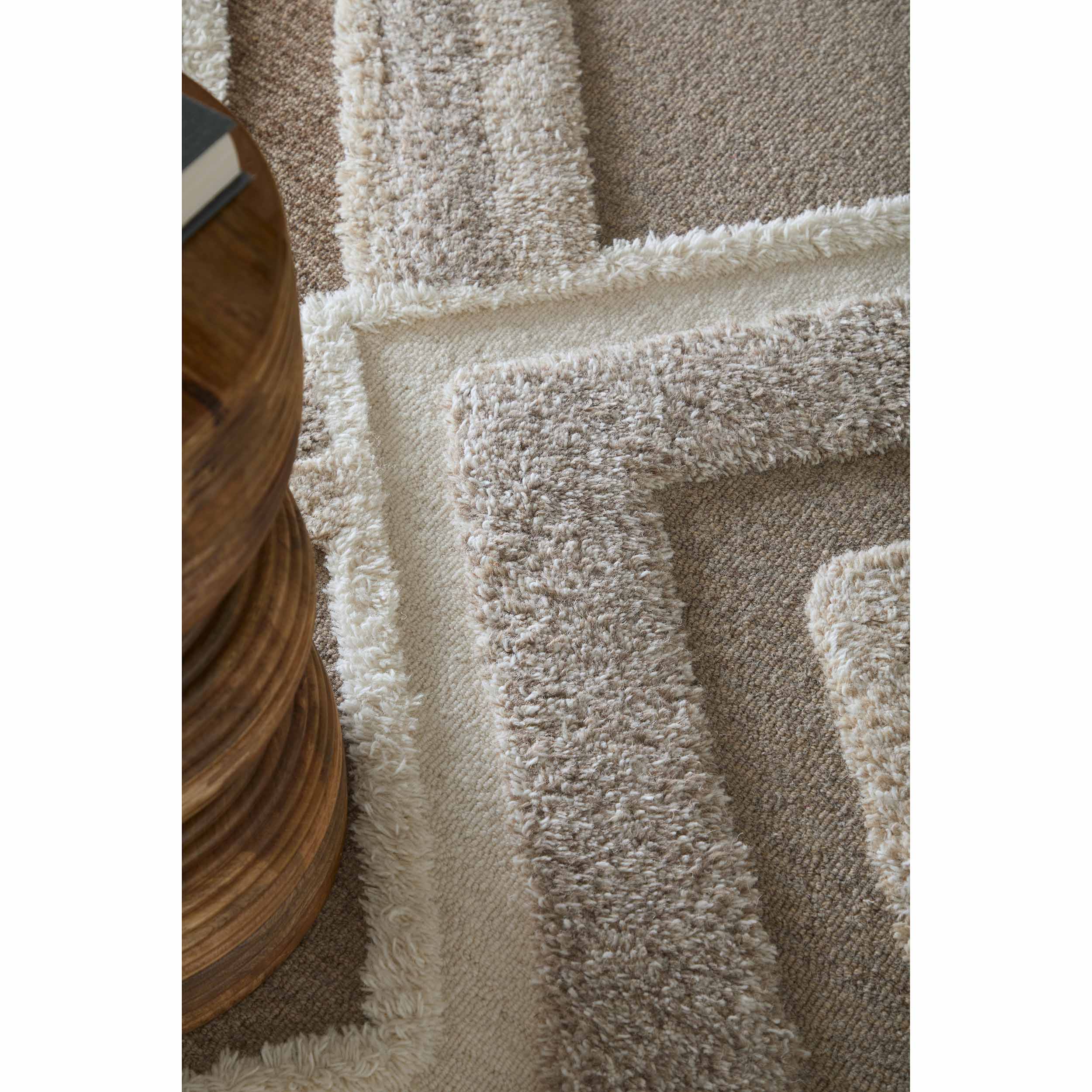 Feizy Rug Anica 8A96F, Light Brown/Beige - Image 5