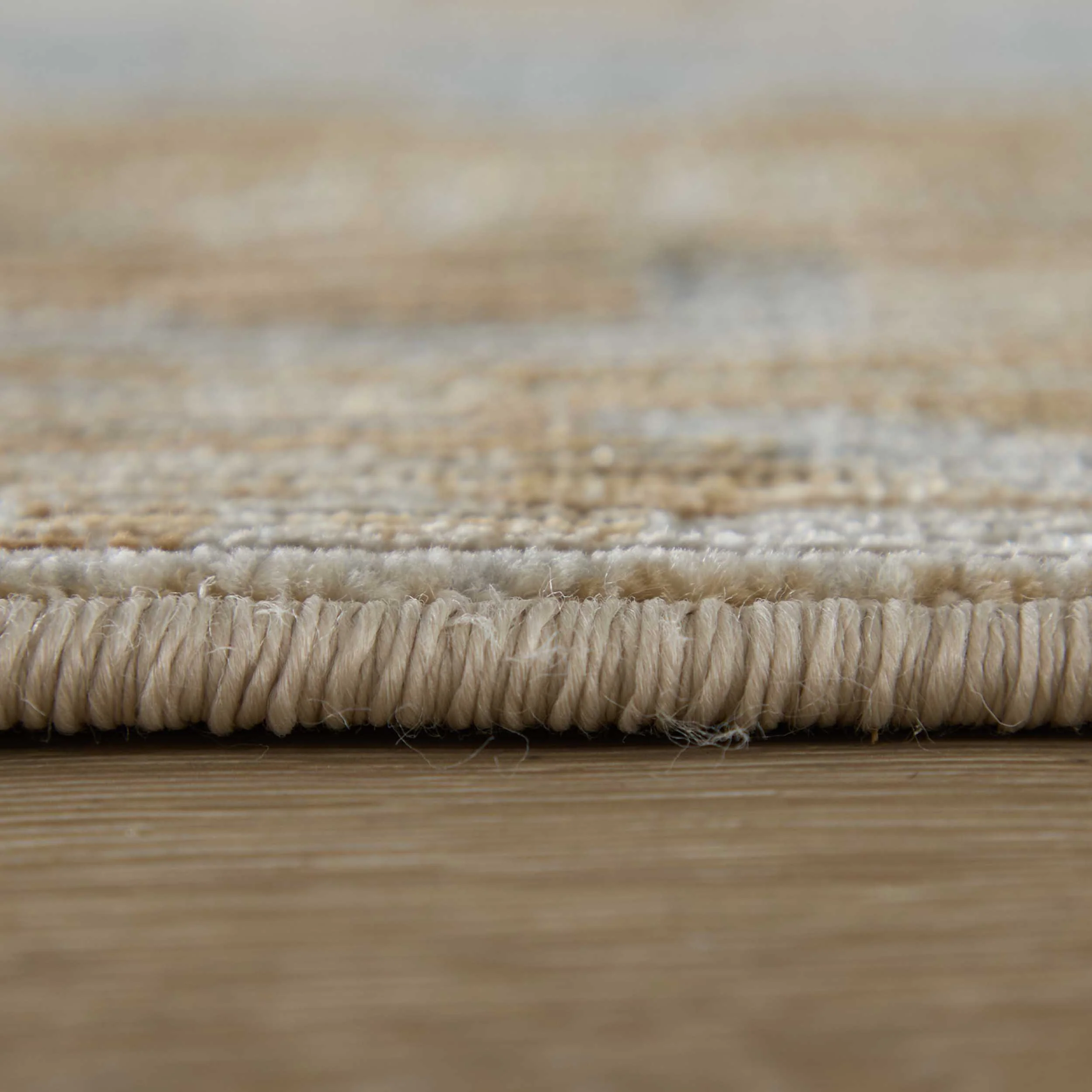 Feizy Rug Augustine 39TXF, Beige/Blue - Image 4