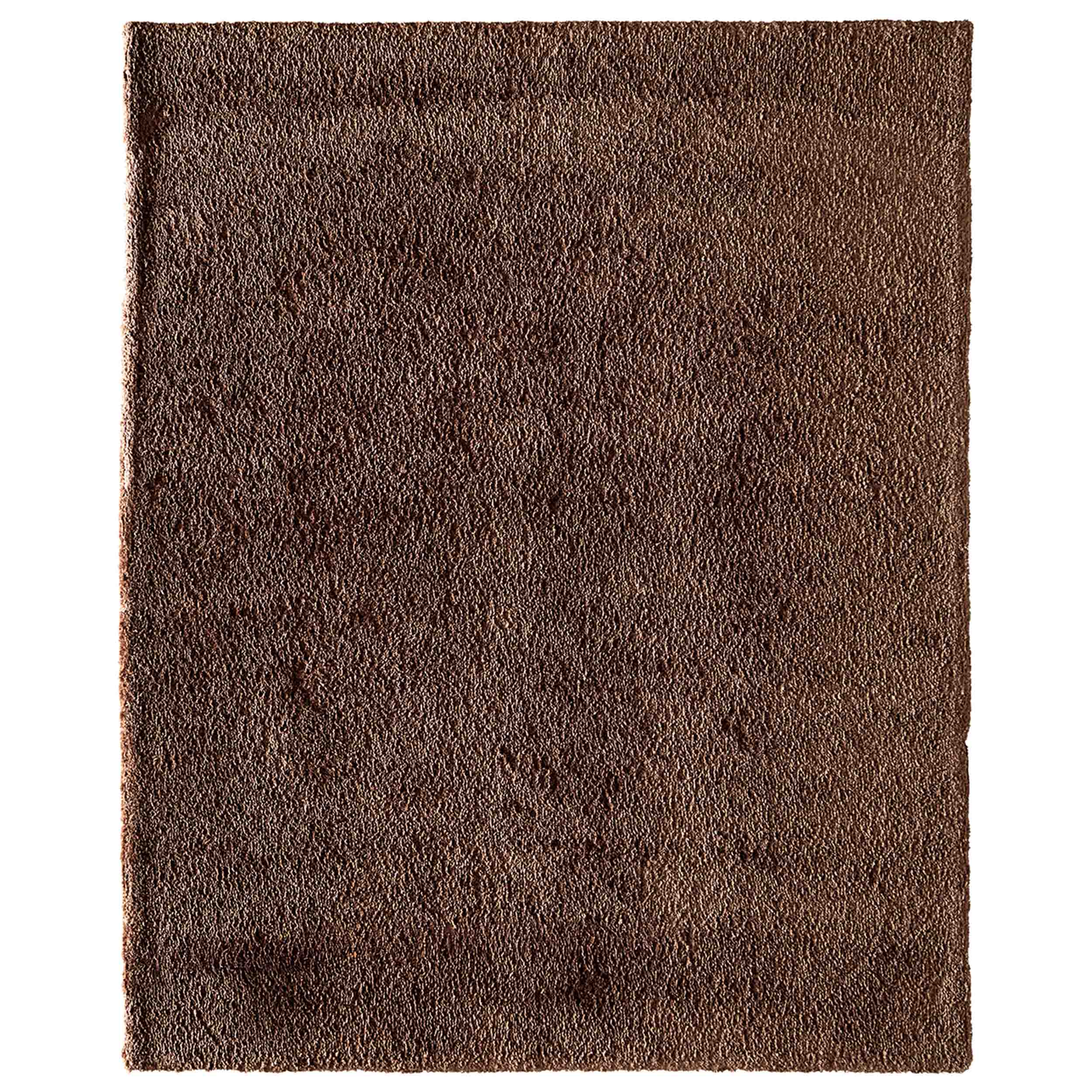 Feizy Rug Tula 8A98F, Brown