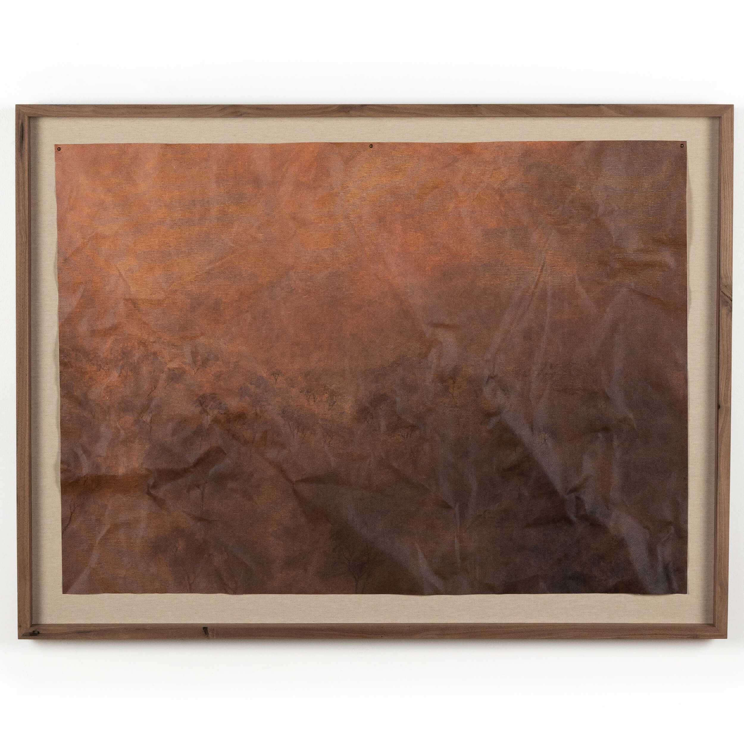 Flesh Of The Earth by Aileen Fitgerald by Four Hands
