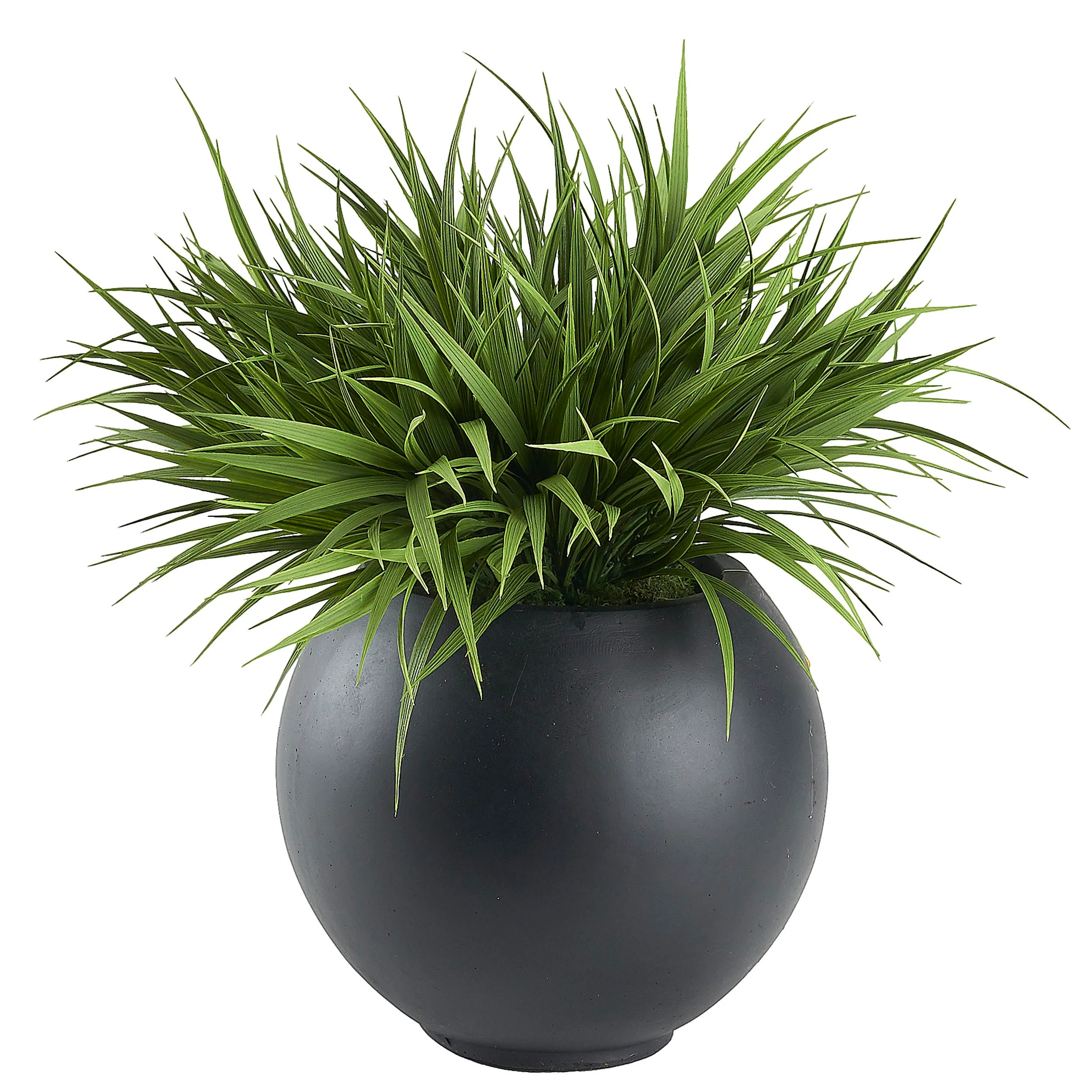 Grass in Porter Planter, Black