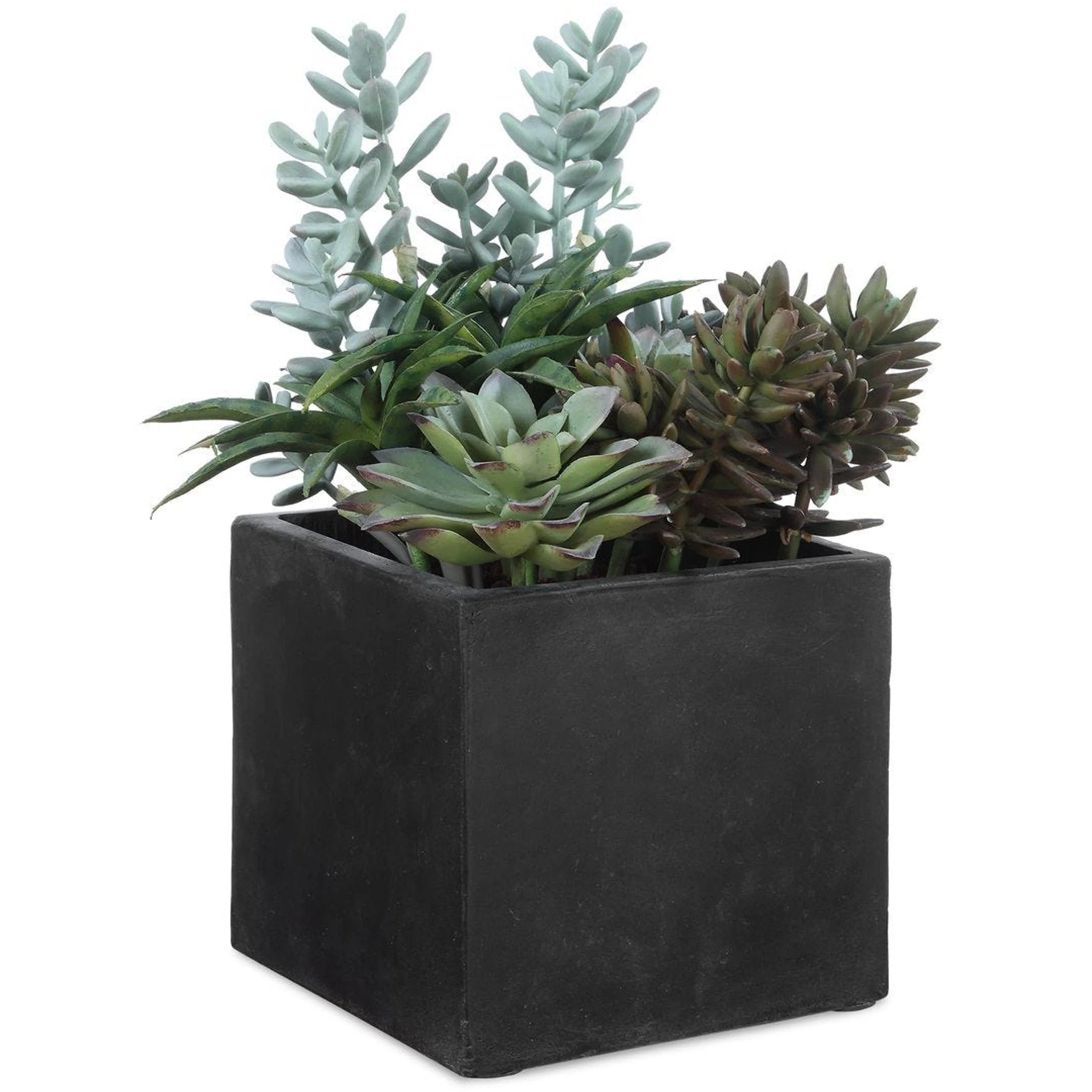Greystone Outdoor Succulent, Matte Black
