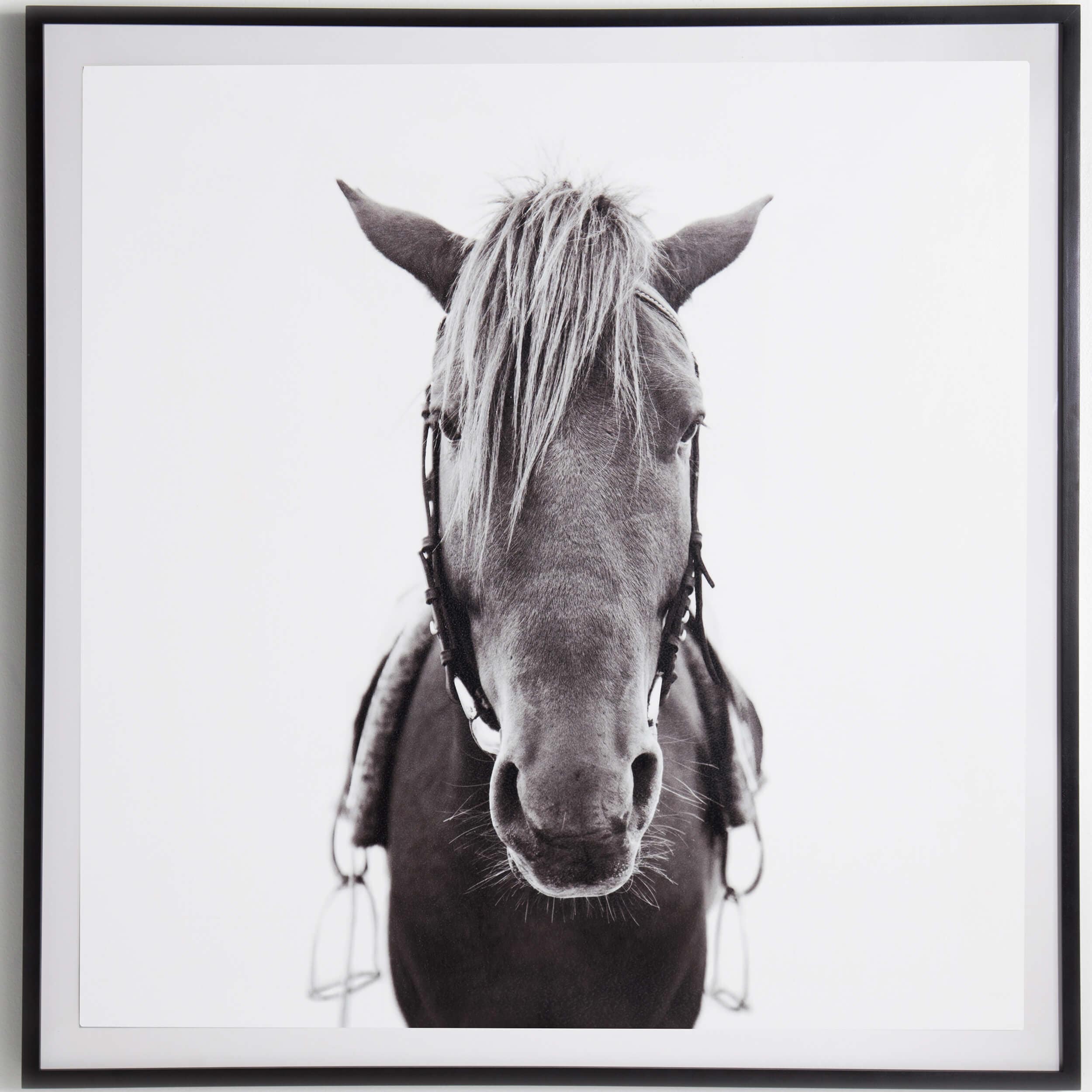 Horse Framed by Four Hands