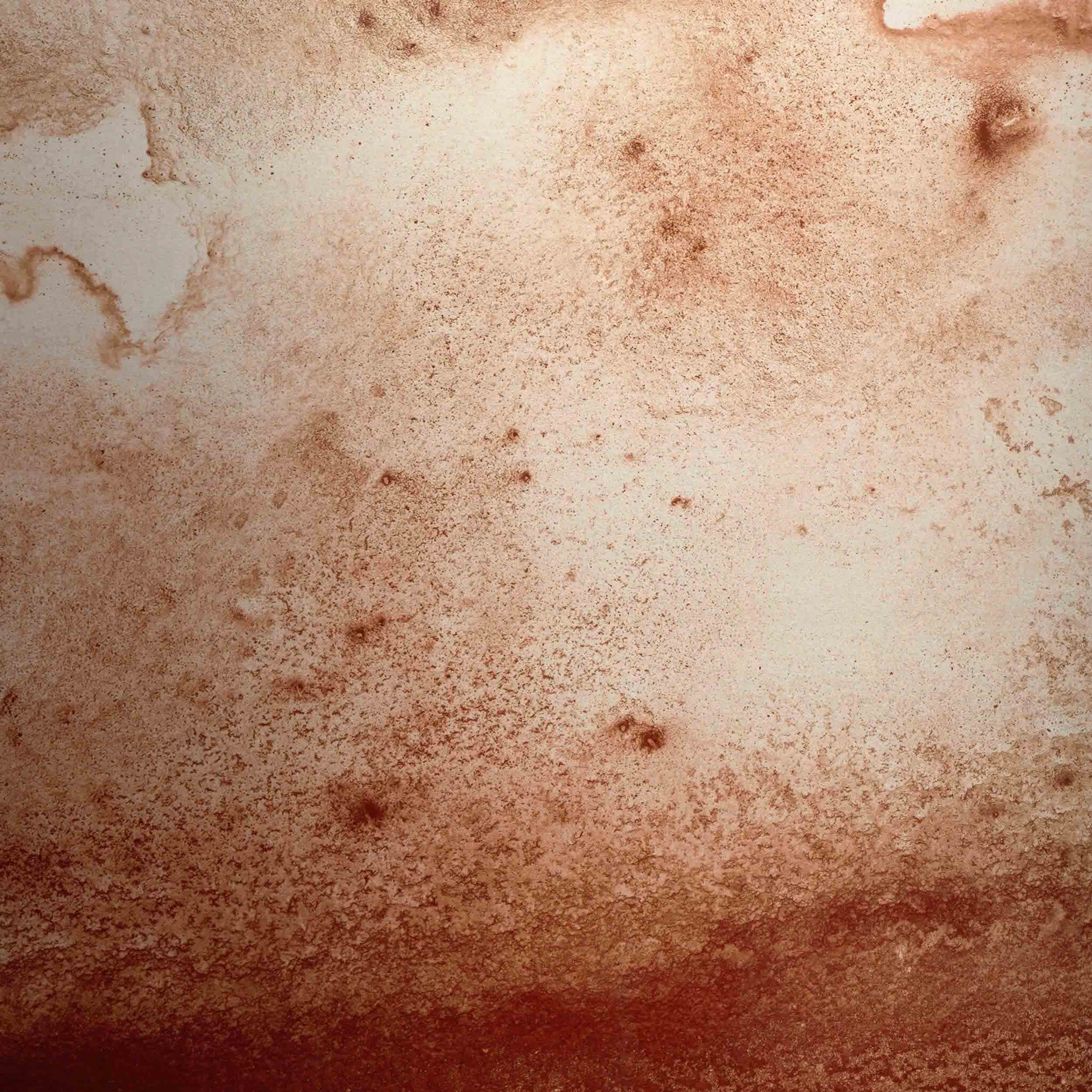 Ink Impressions - Chasm by Stella Chang by Four Hands - Image 5