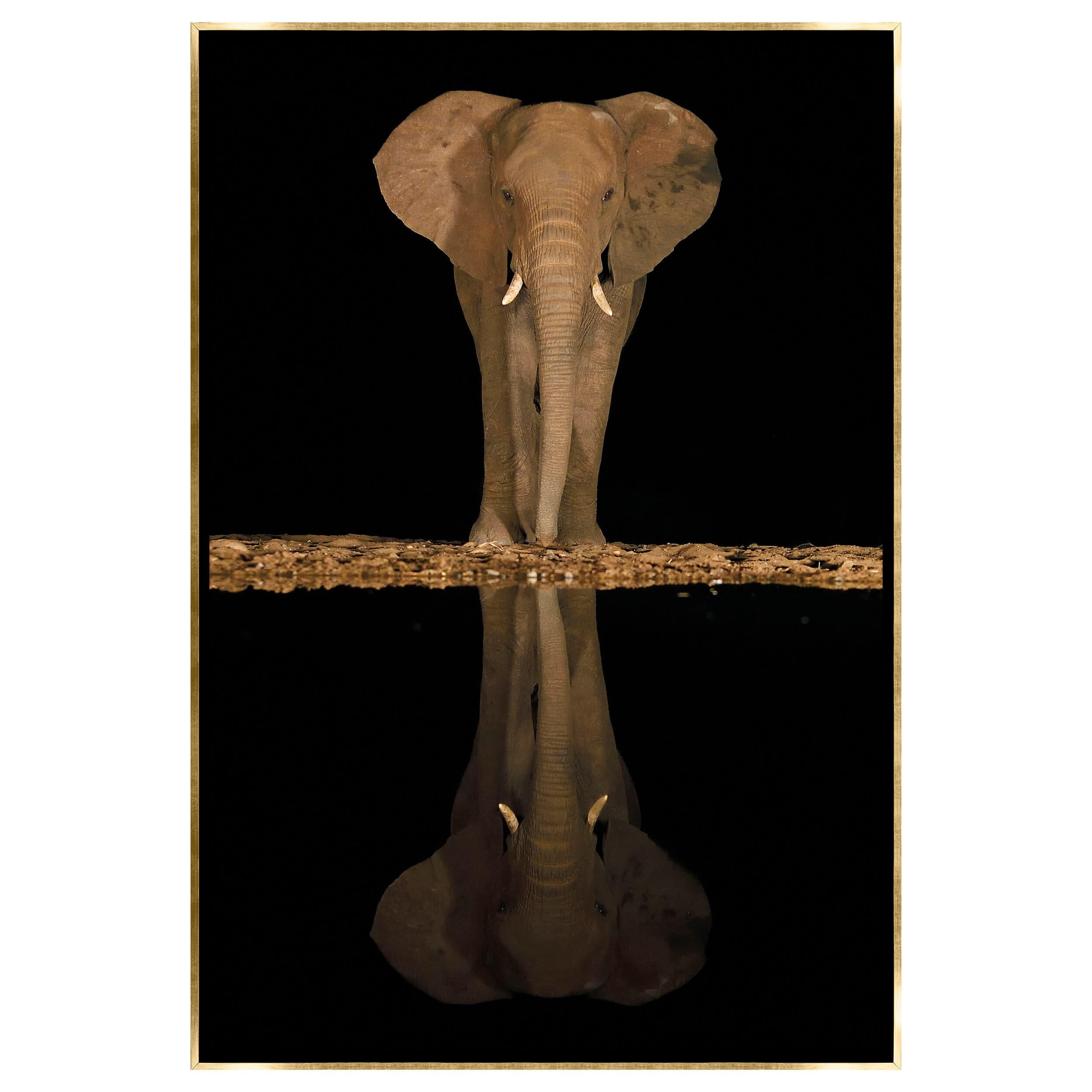 Lakeside Elephant Framed