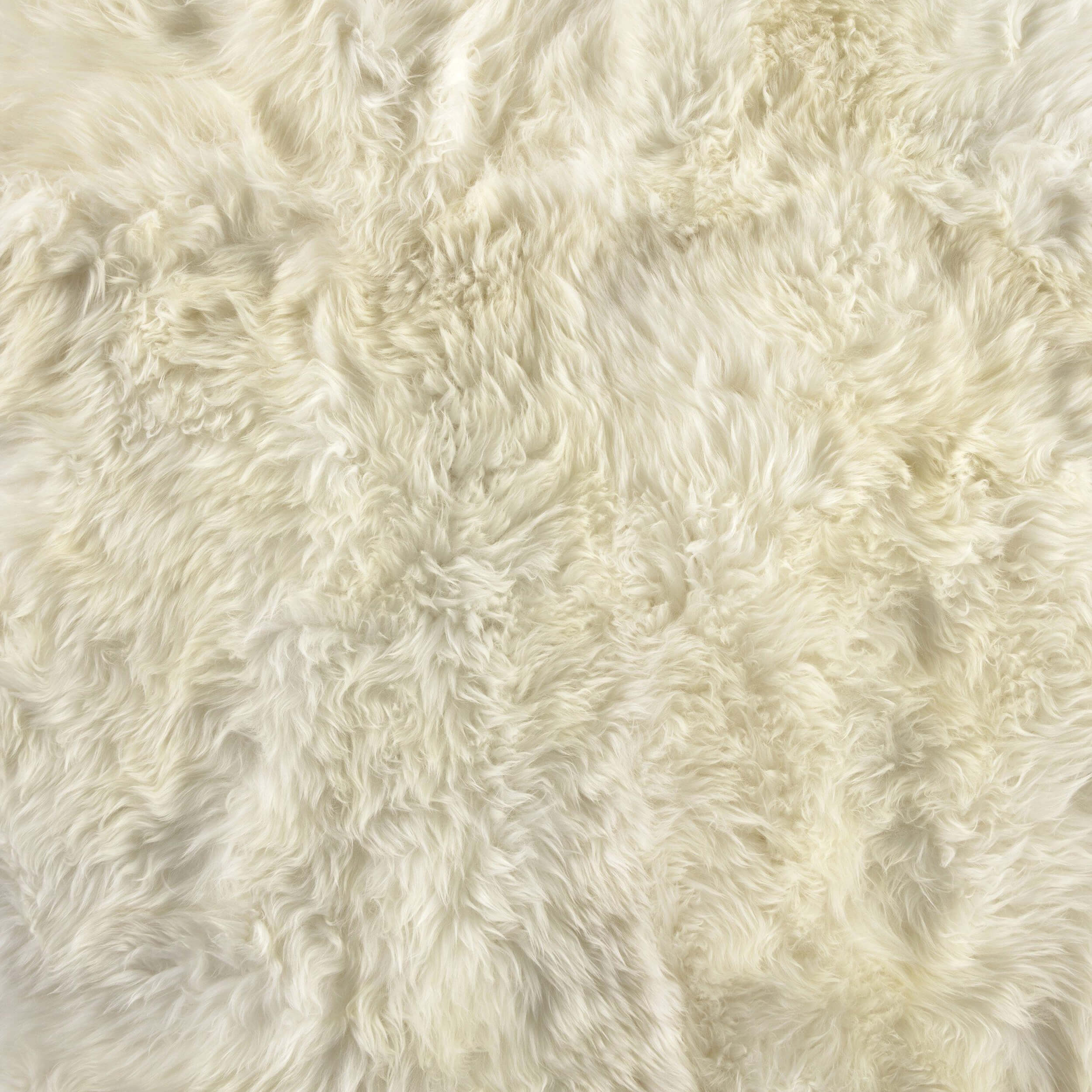 Lalo Lambskin Rug, Cream by Four Hands - Image 4