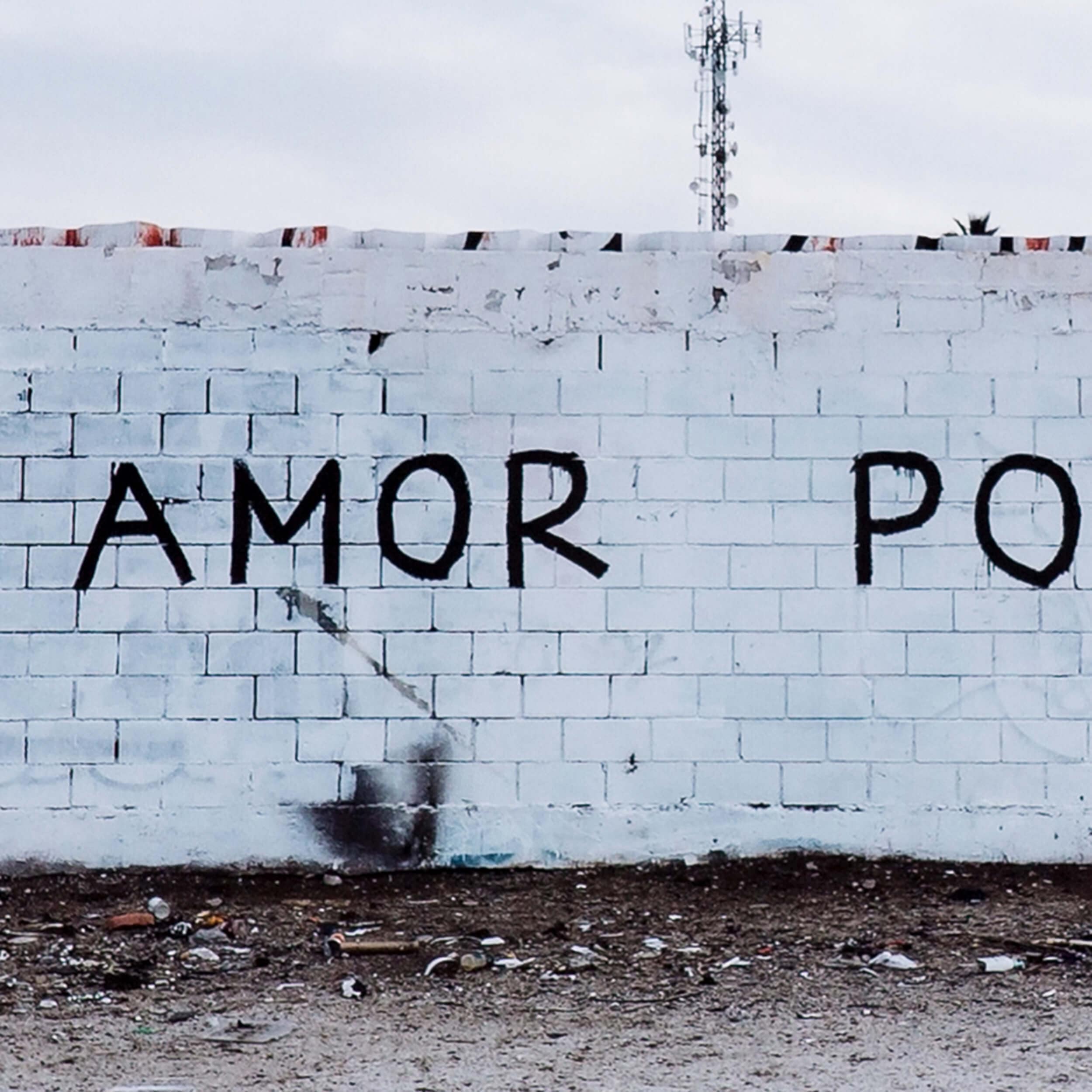 Mas Amor Framed by Four Hands - Image 4