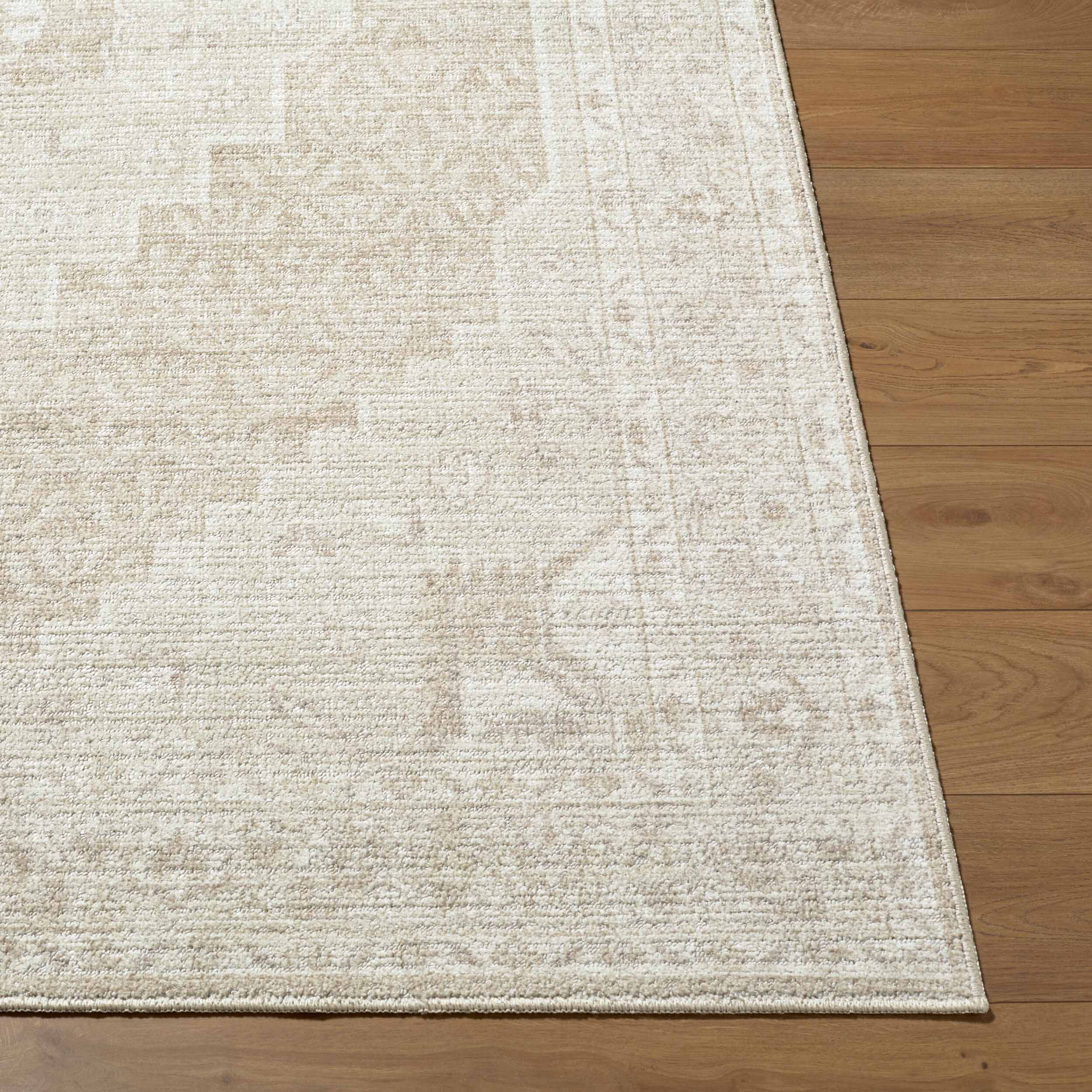 Nabela Noor Home x Livabliss Rug Athiyo NBAT-2300, Oatmeal Multi - Image 2