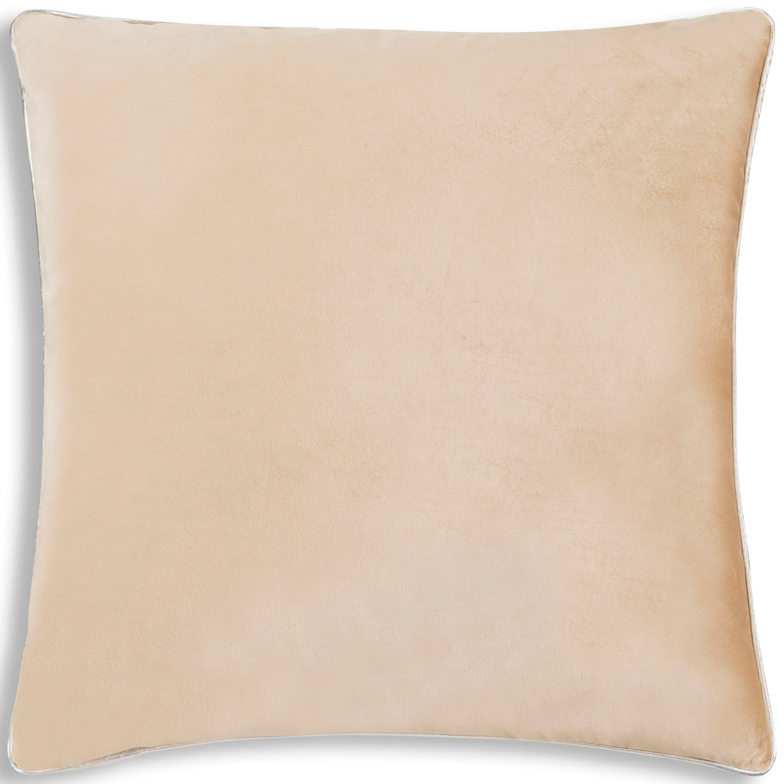 Noah Pillow, Beige/Silver