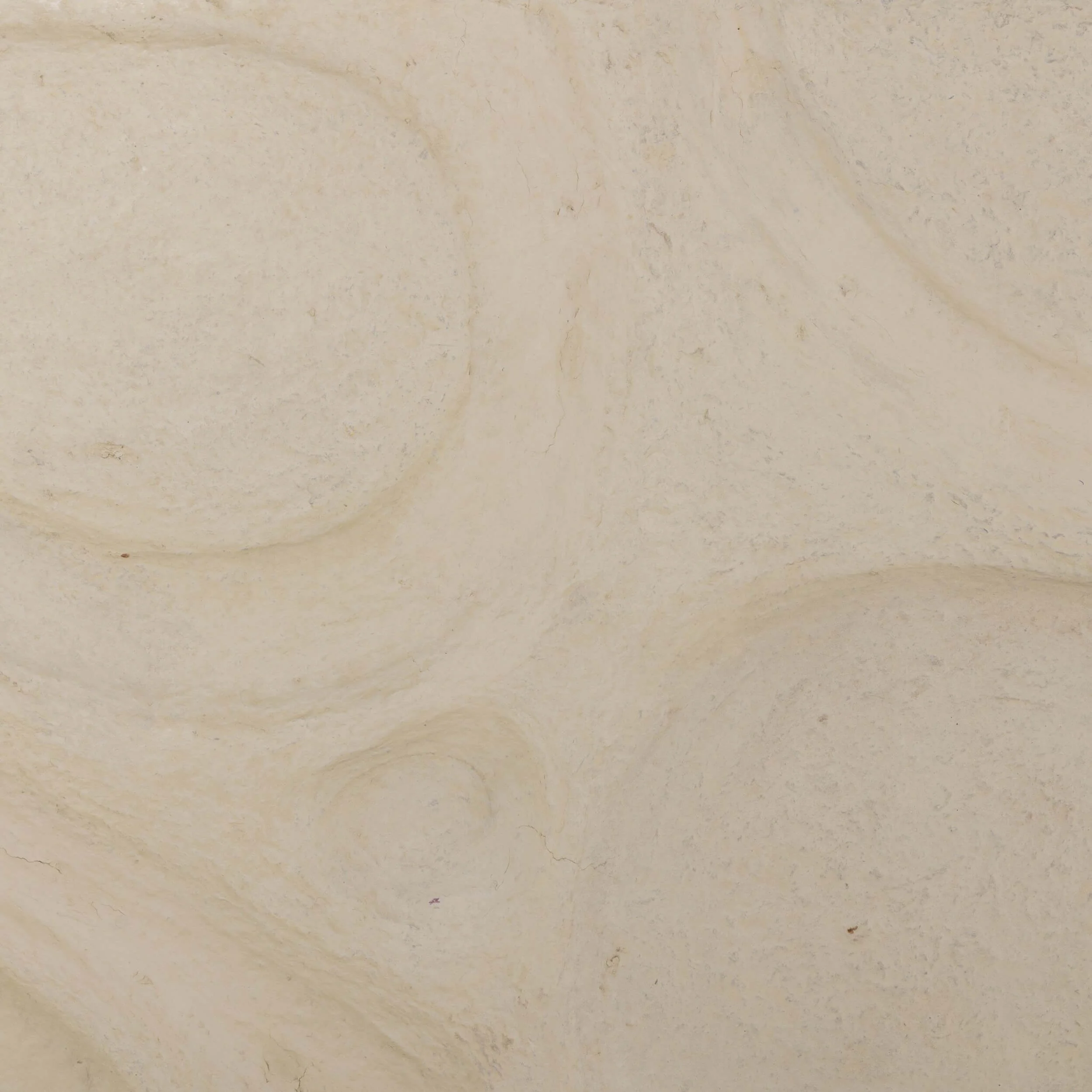 Organic Relief Sculpture, Natural by Four Hands - Image 3