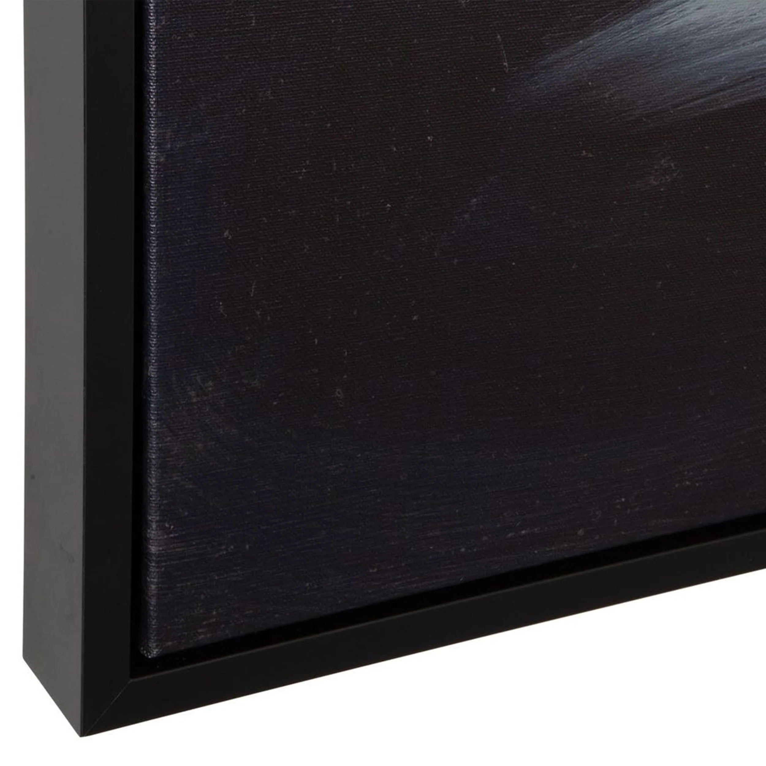 Peony Framed Canvas, Black - Image 3
