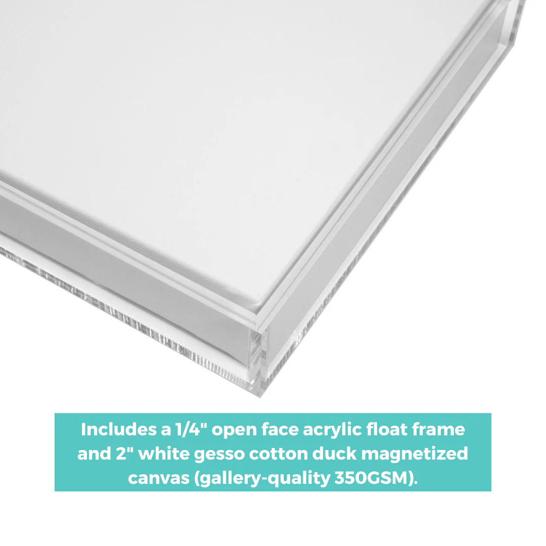 Ready-To-Go MagnaFloat™ Frames - Image 36