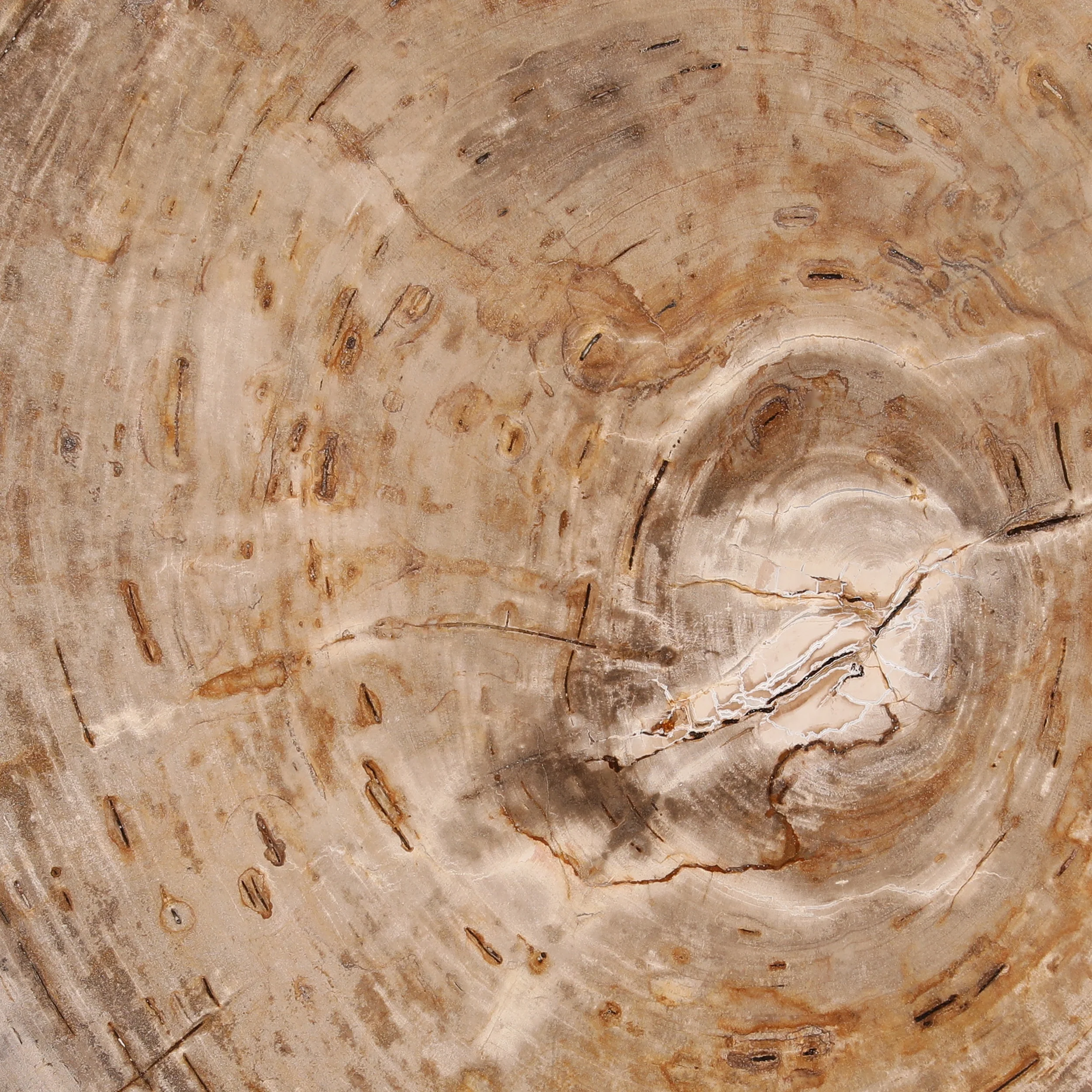 Sampson Large Coffee Table, Light Natural - Image 4