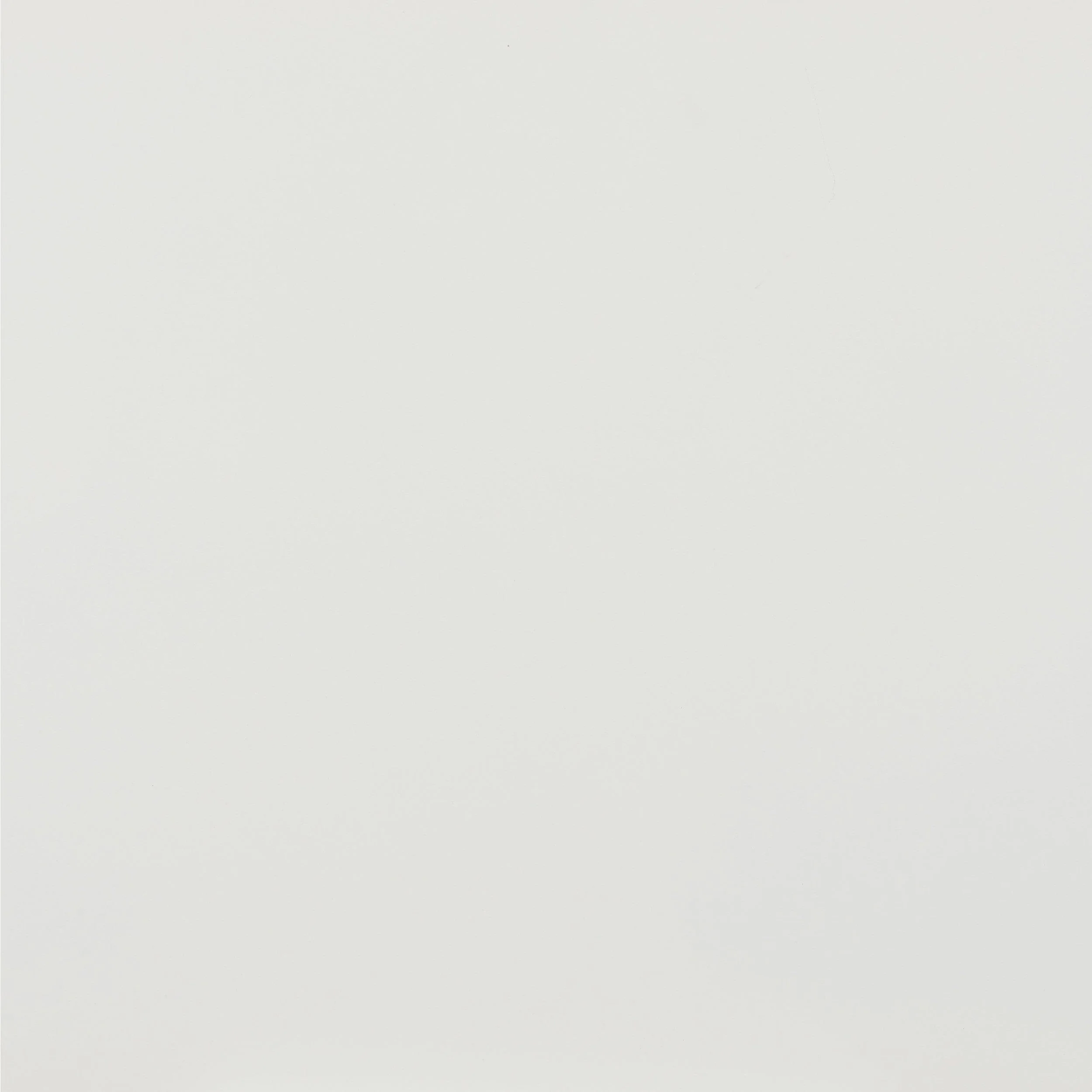 Shio Dining Chair, White - Image 5
