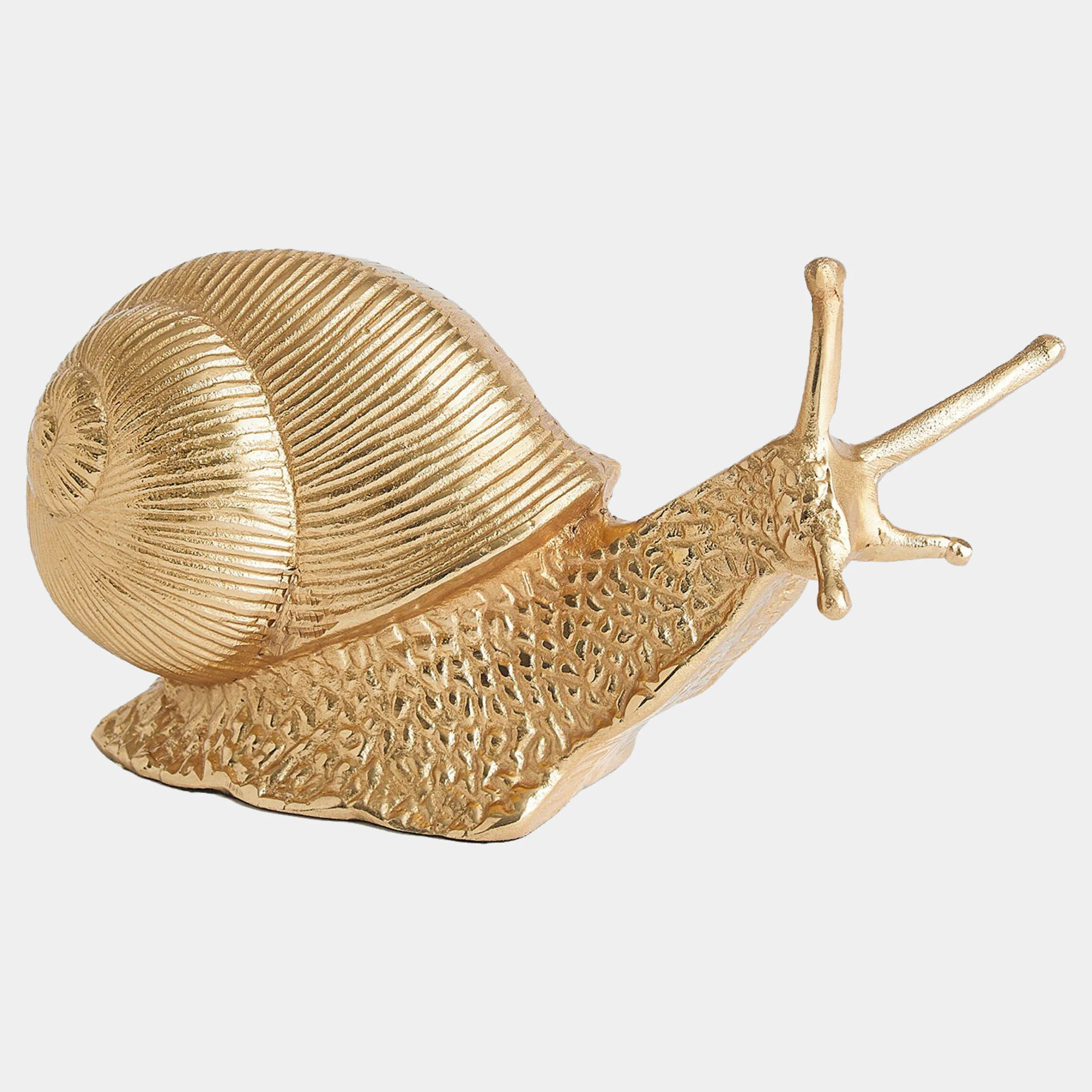 Snail, Gold