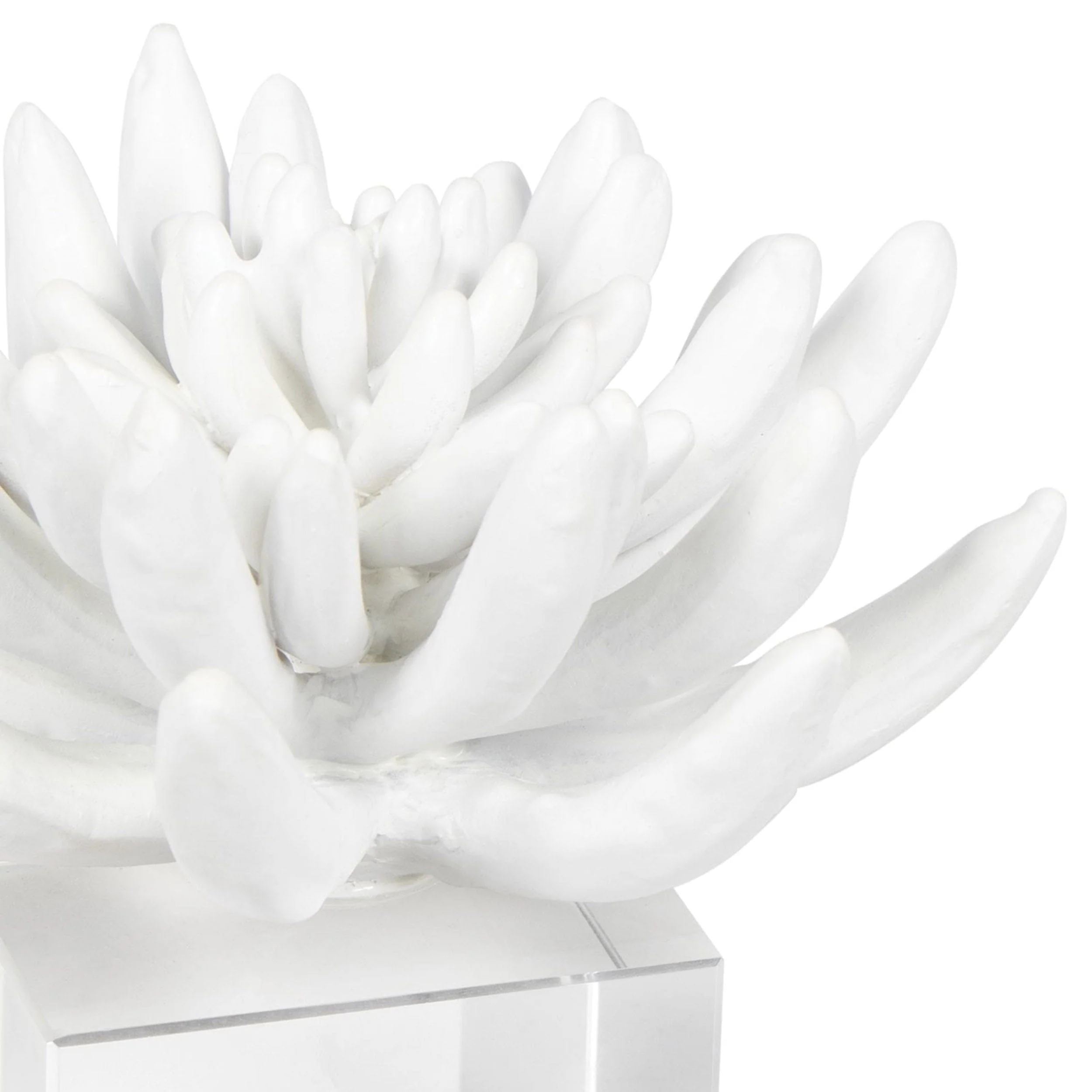 Succulent Sculpture 2, White - Image 2