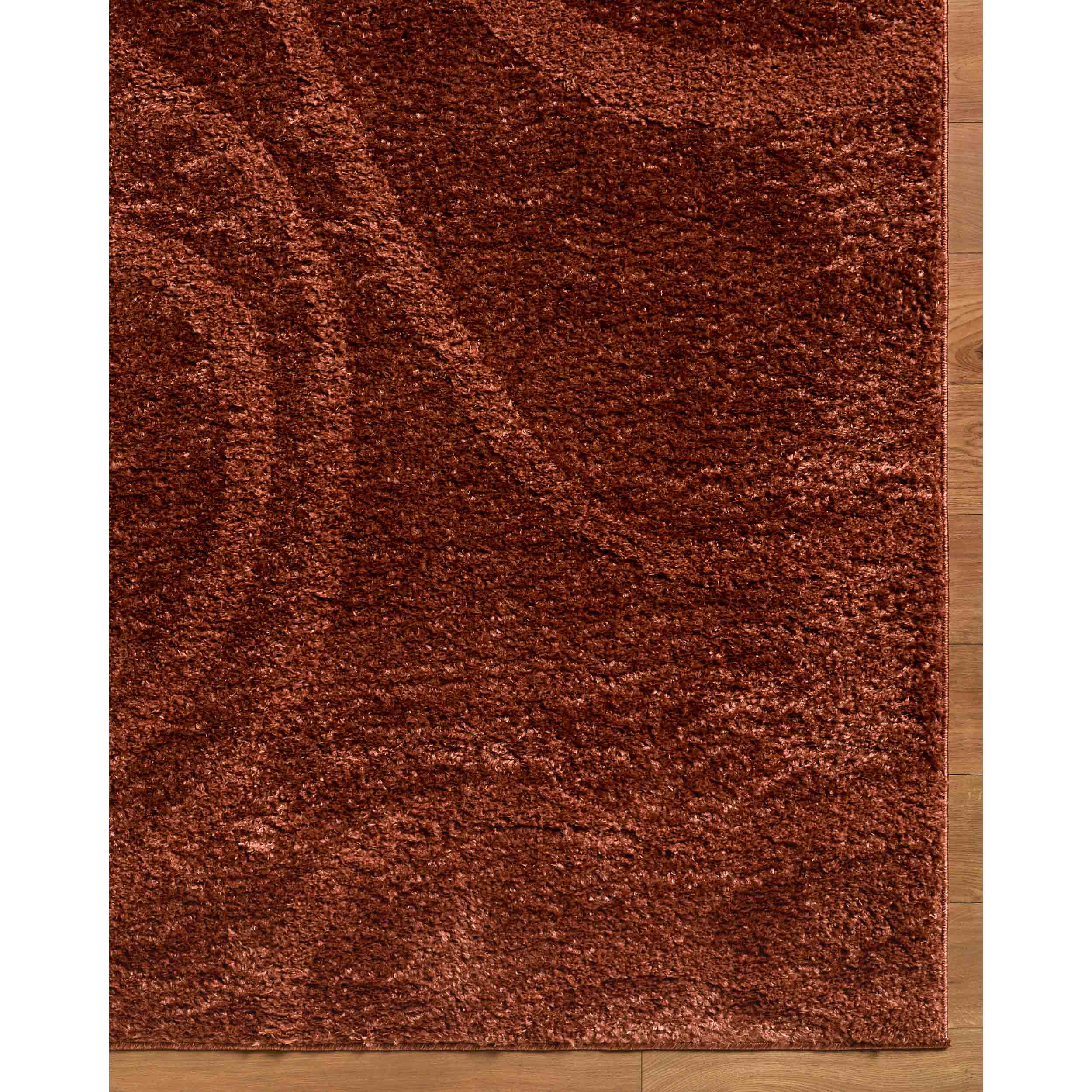 Surya Livabliss Rug Rodos RDO-2355, Rust - Image 3