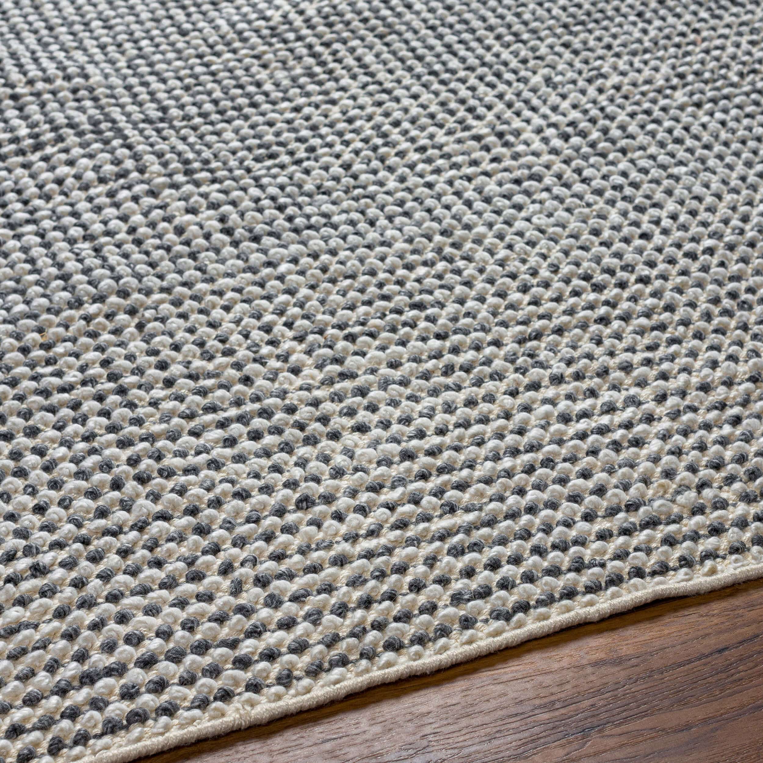 Surya Rug Reika REK-2302, Off White/Charcoal/Beige - Image 5