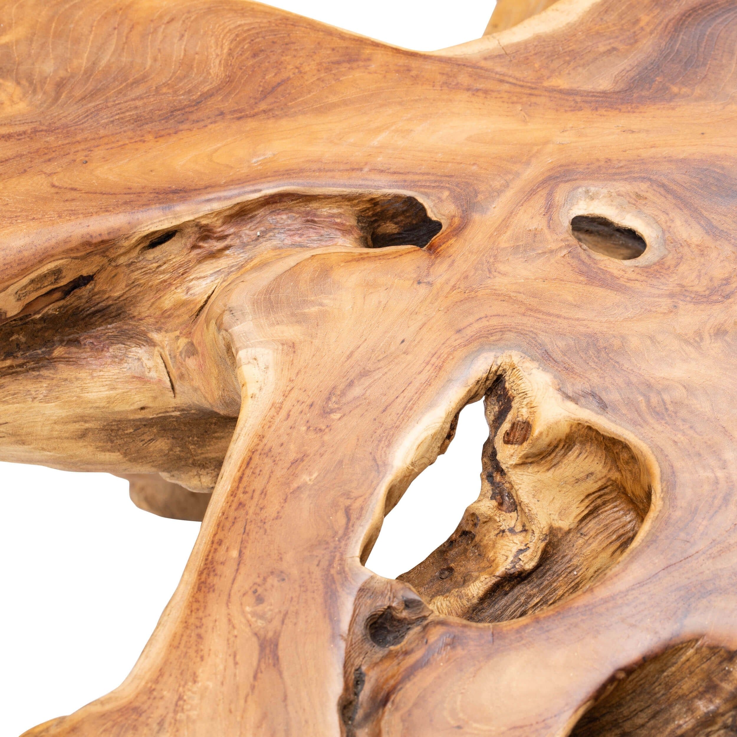 Teak Root Coffee Table - Image 6